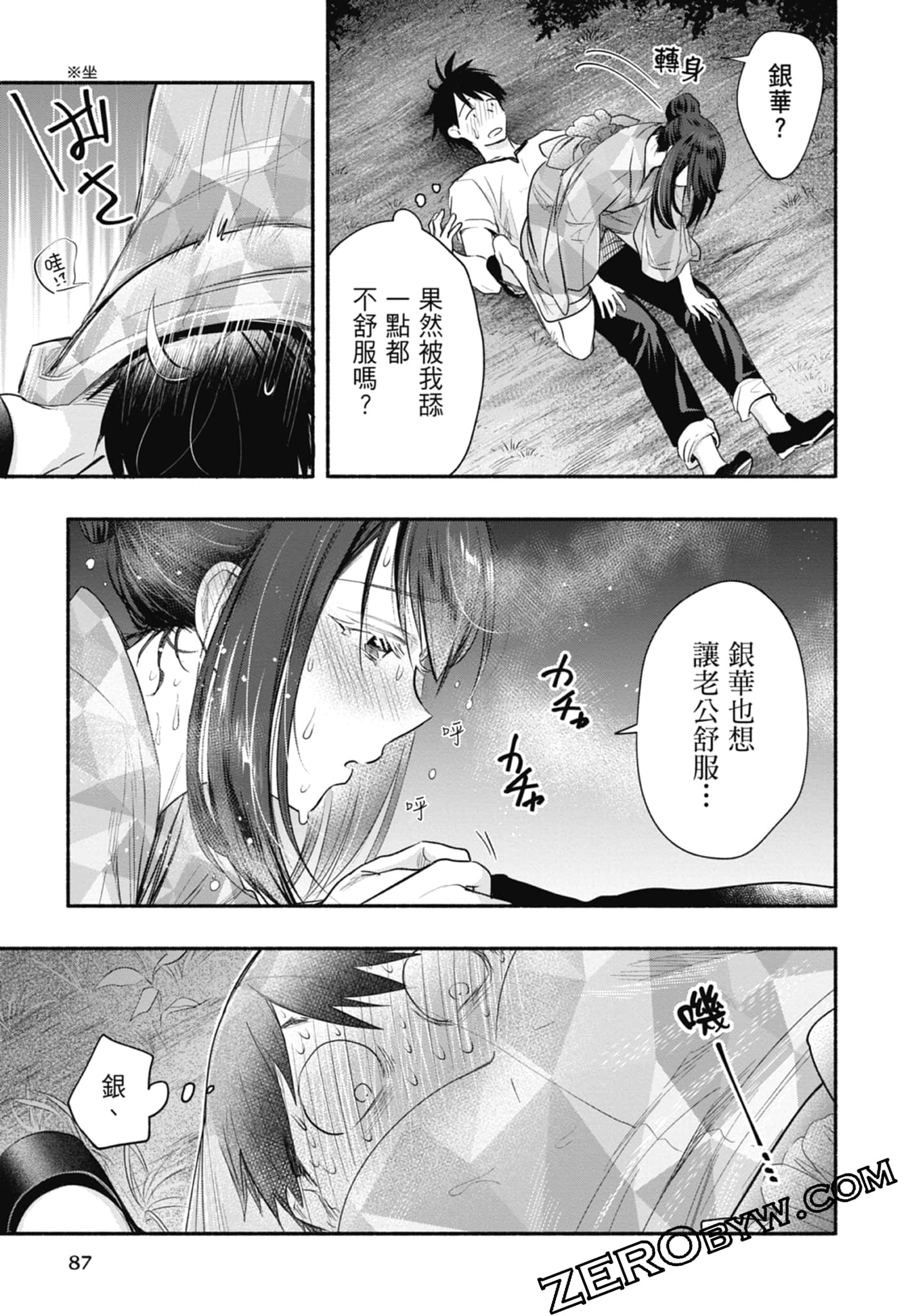 Page 87