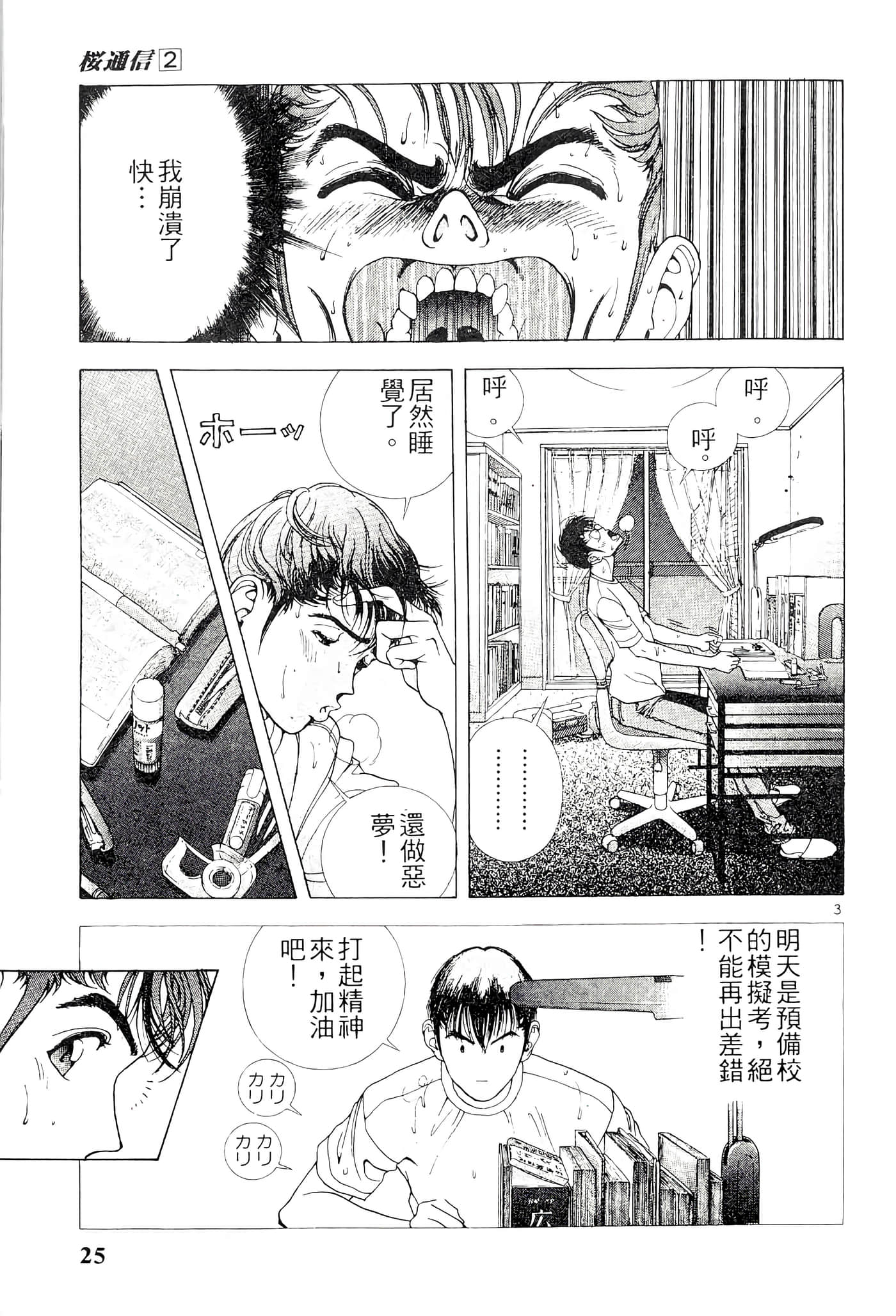 第 25 页