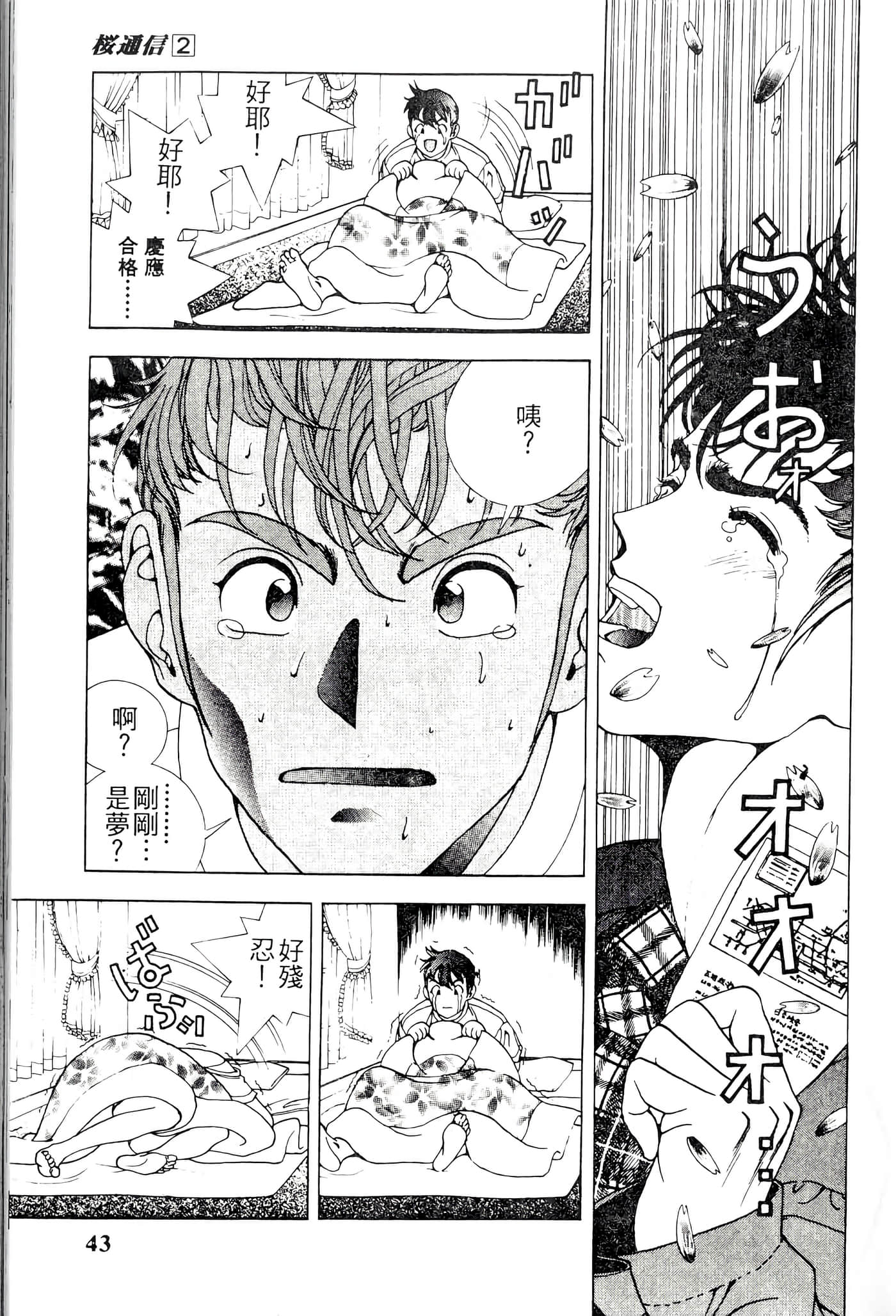 第 43 页