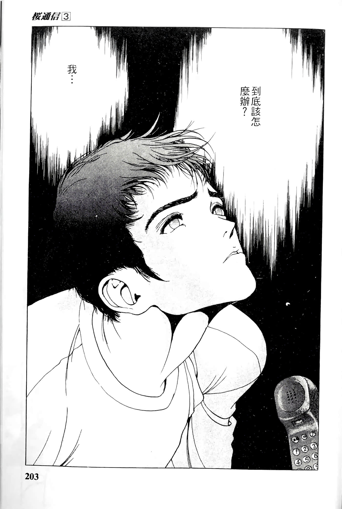 第 203 页