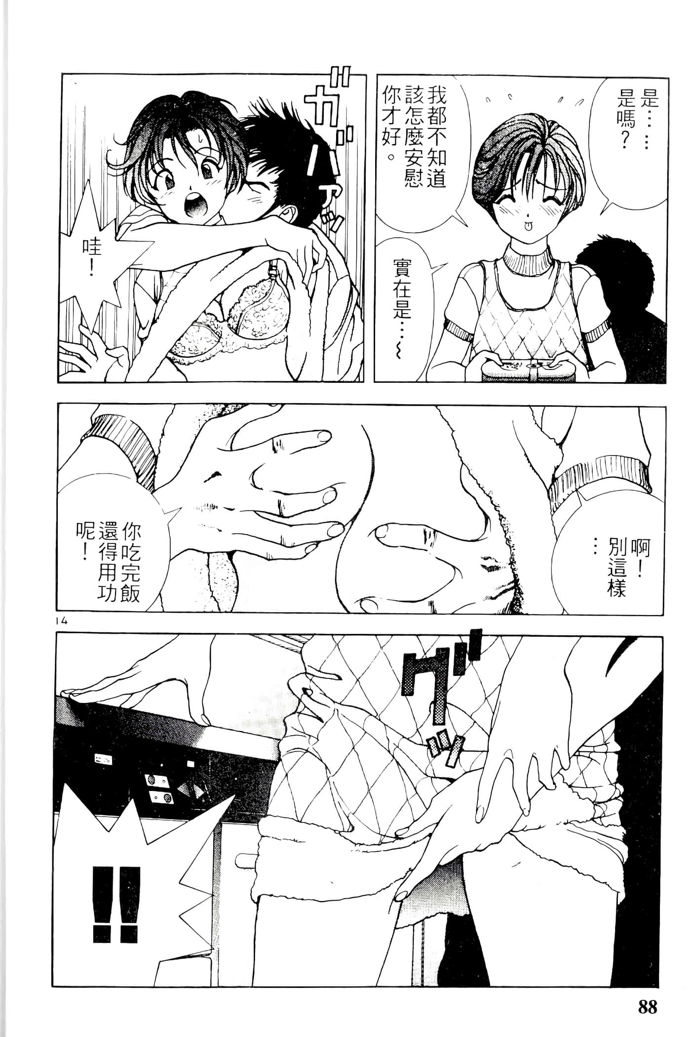 第 88 页