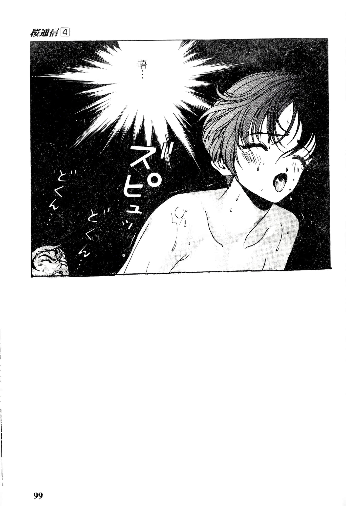 第 99 页