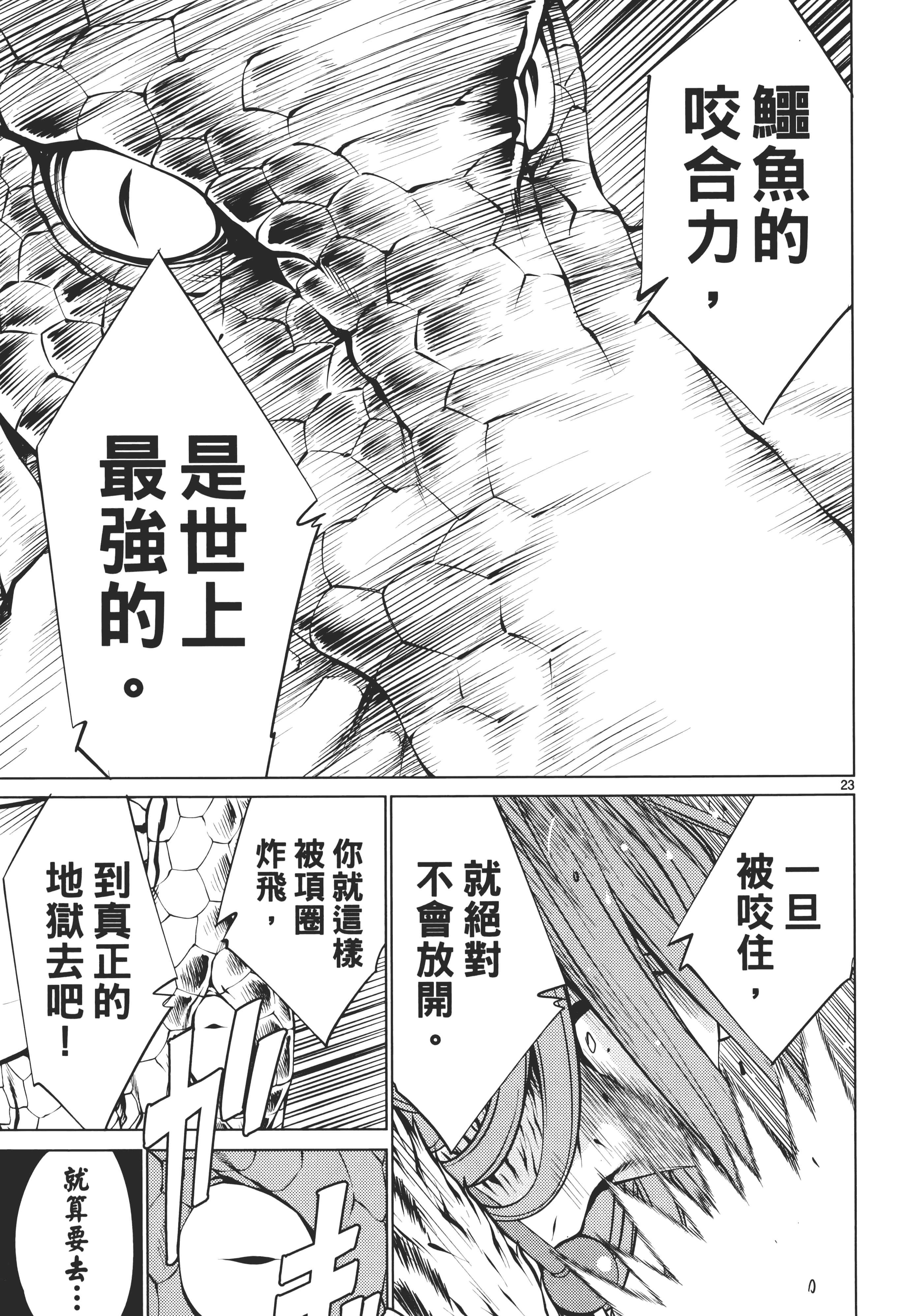 第 91 页