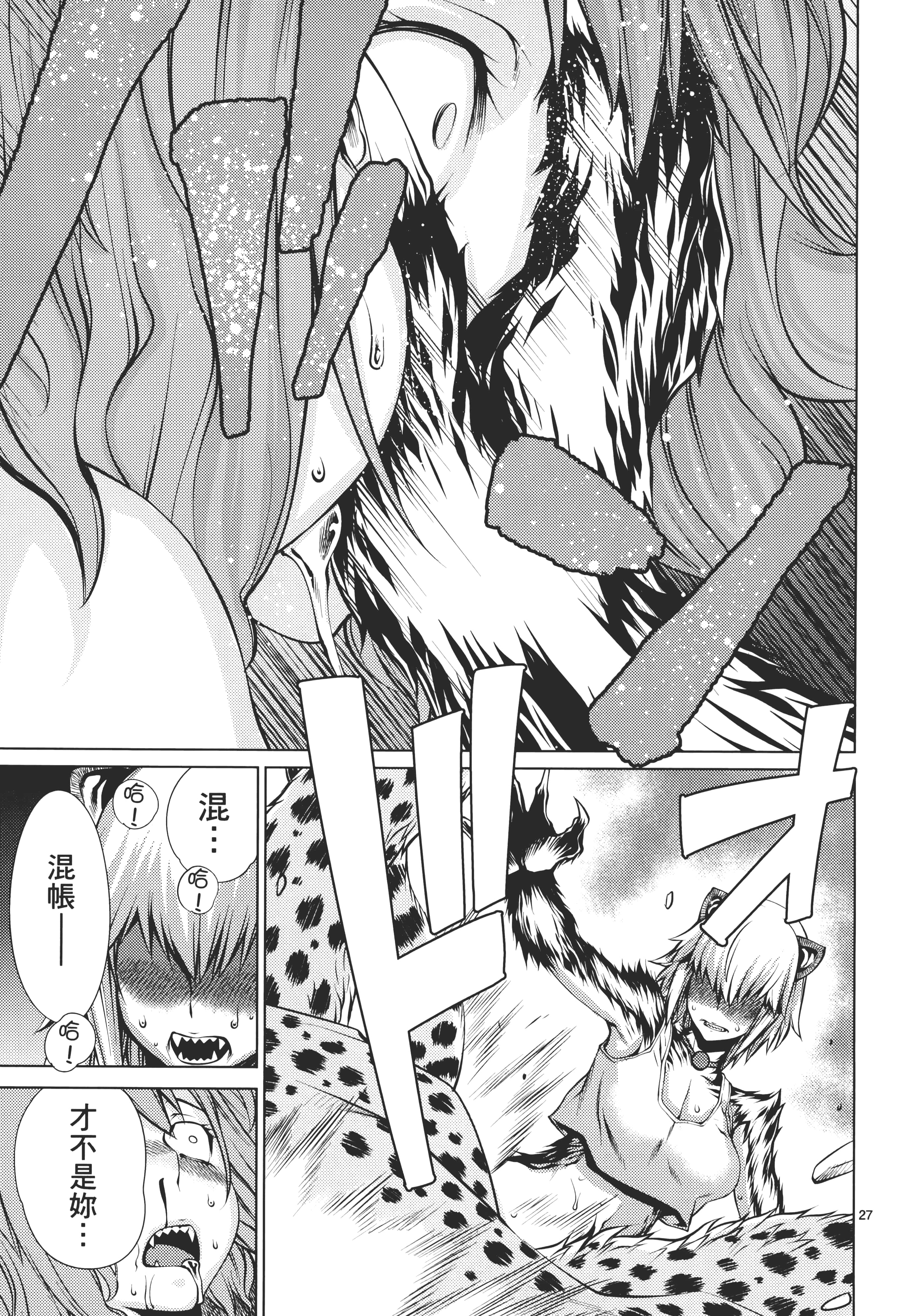 第 91 页