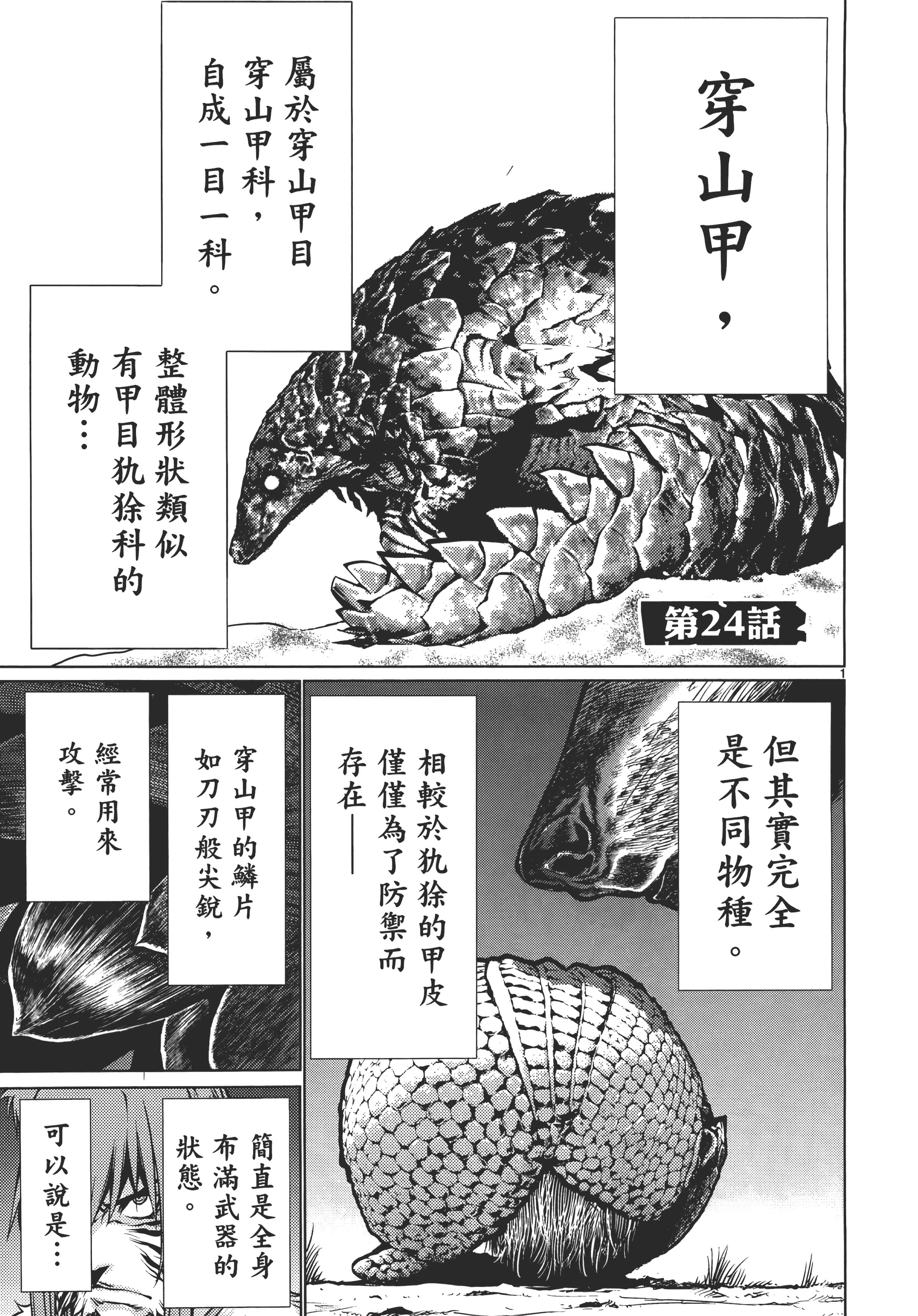 第 97 页