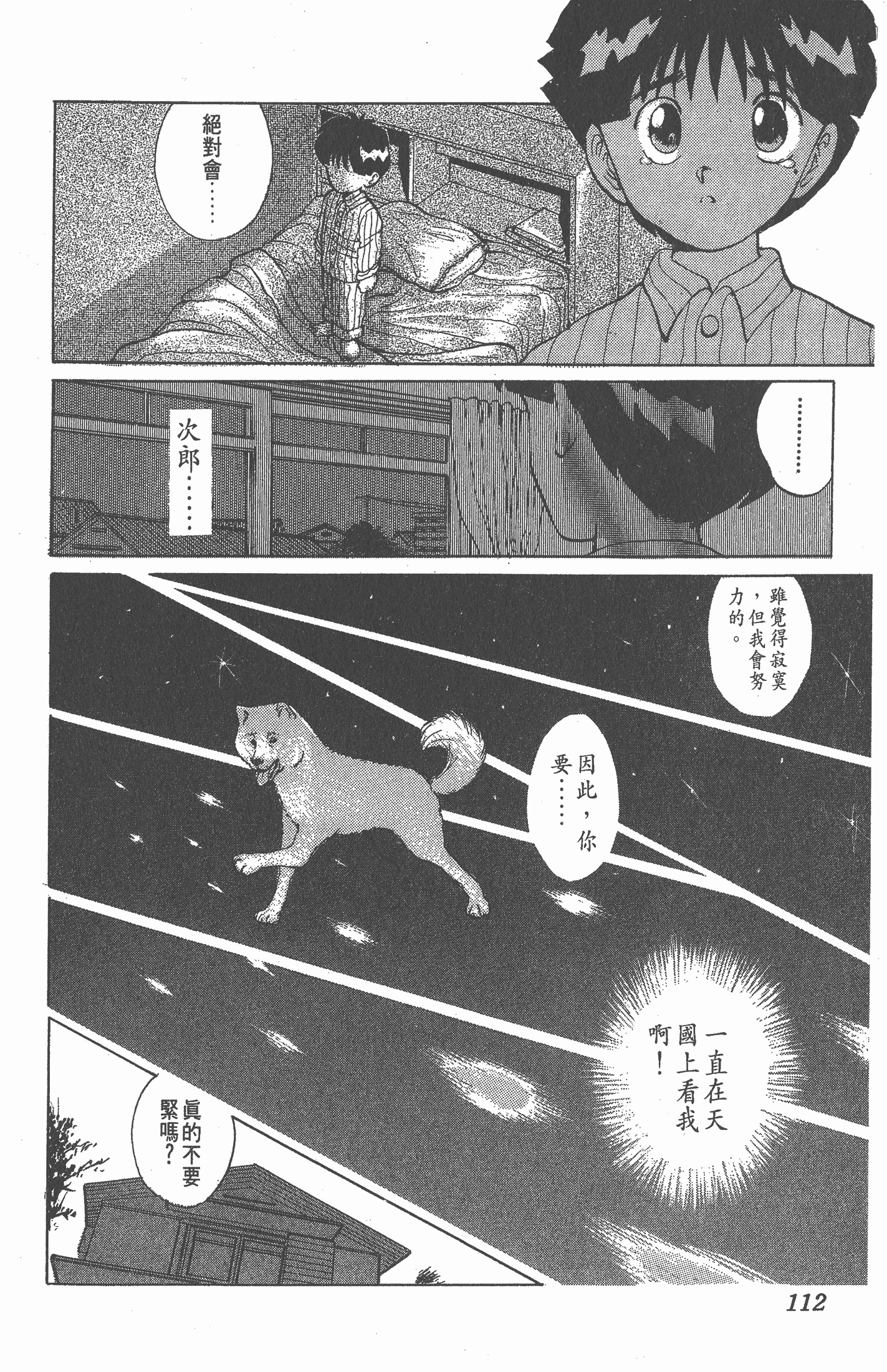 Page 111