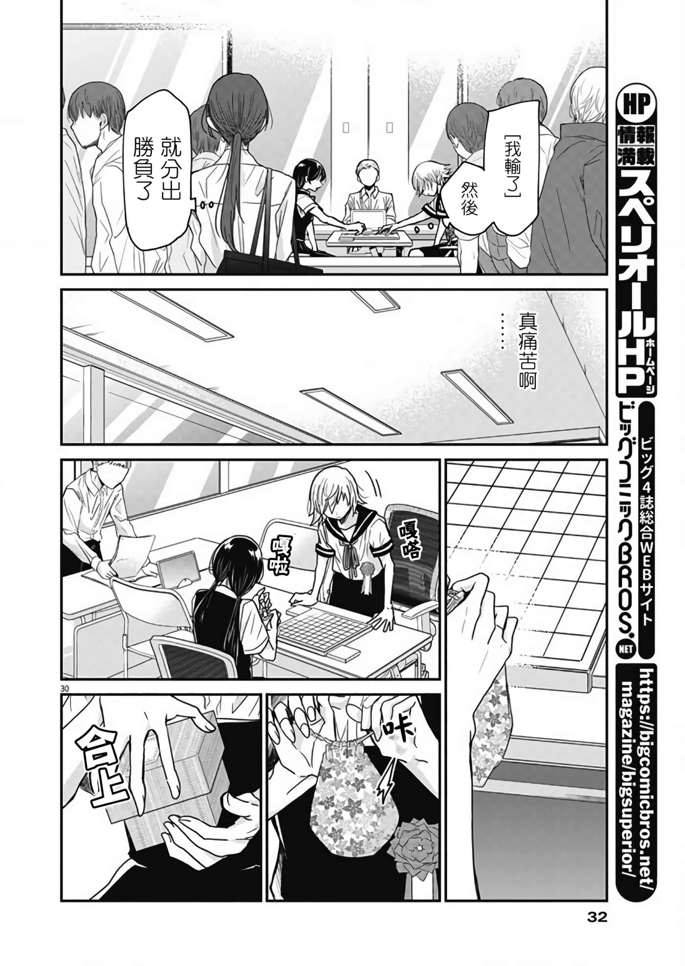 第 30 页