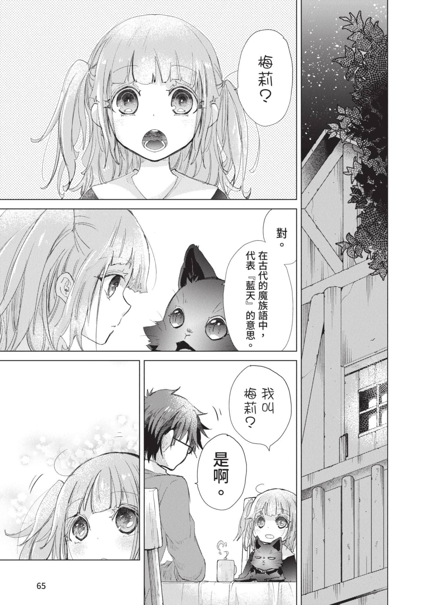 第 66 页