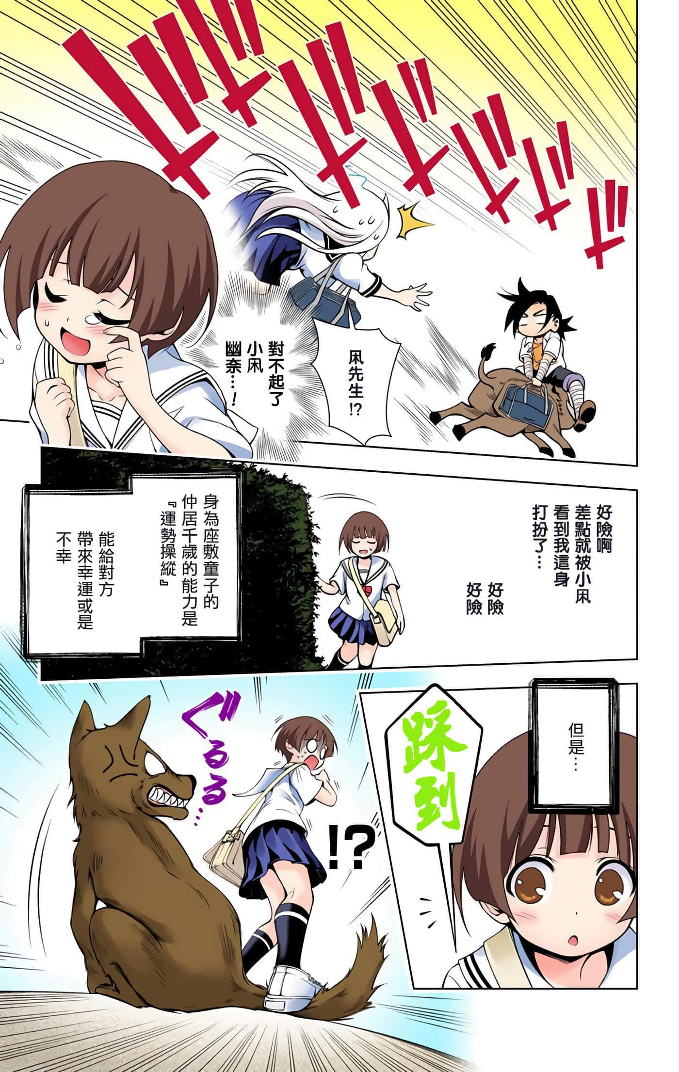 Page 51