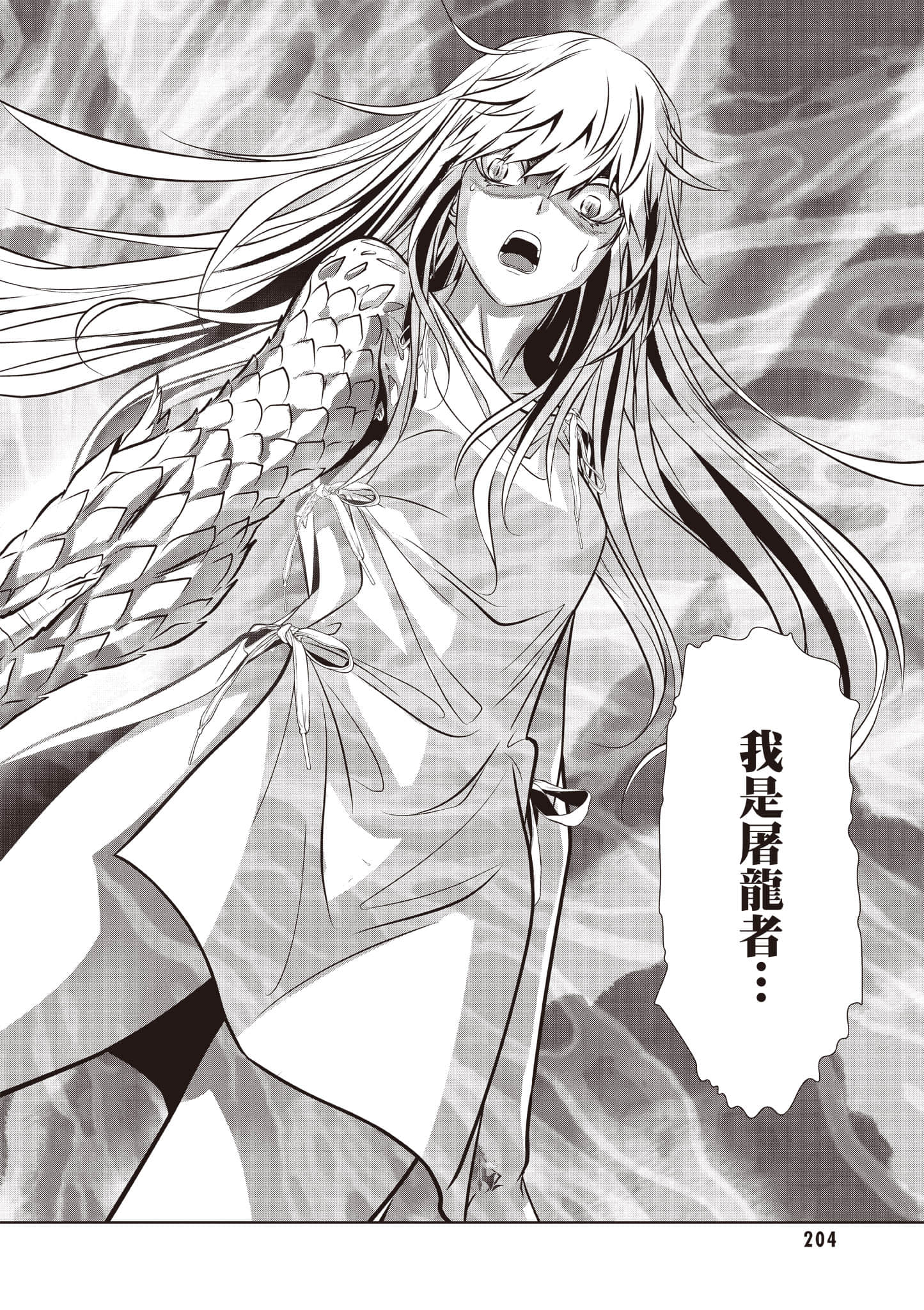 第 205 页