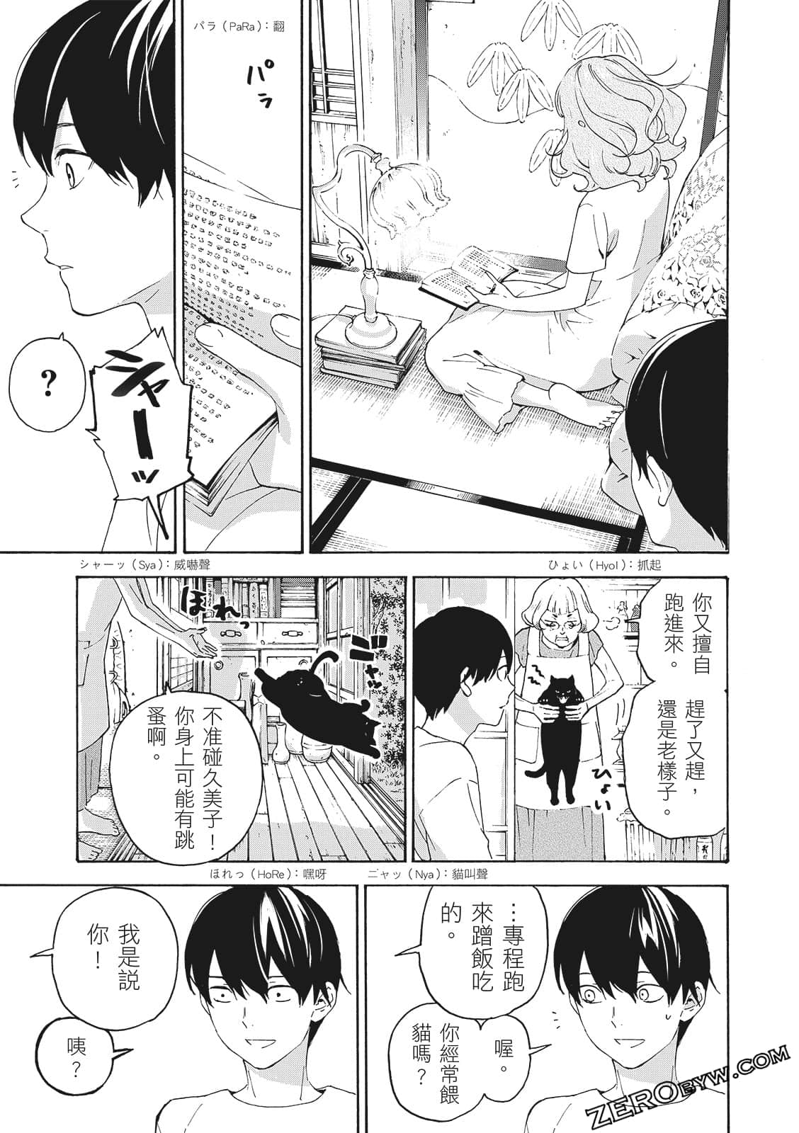 第 31 页
