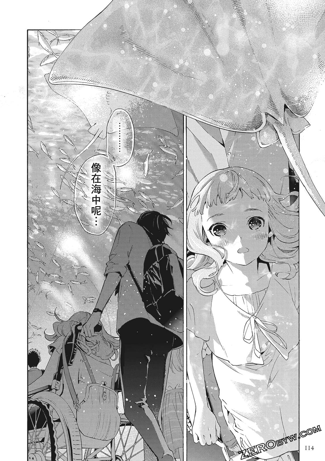 第 116 页