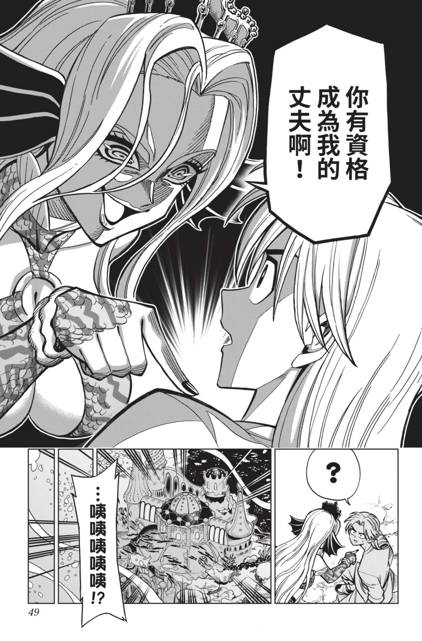 第 48 页