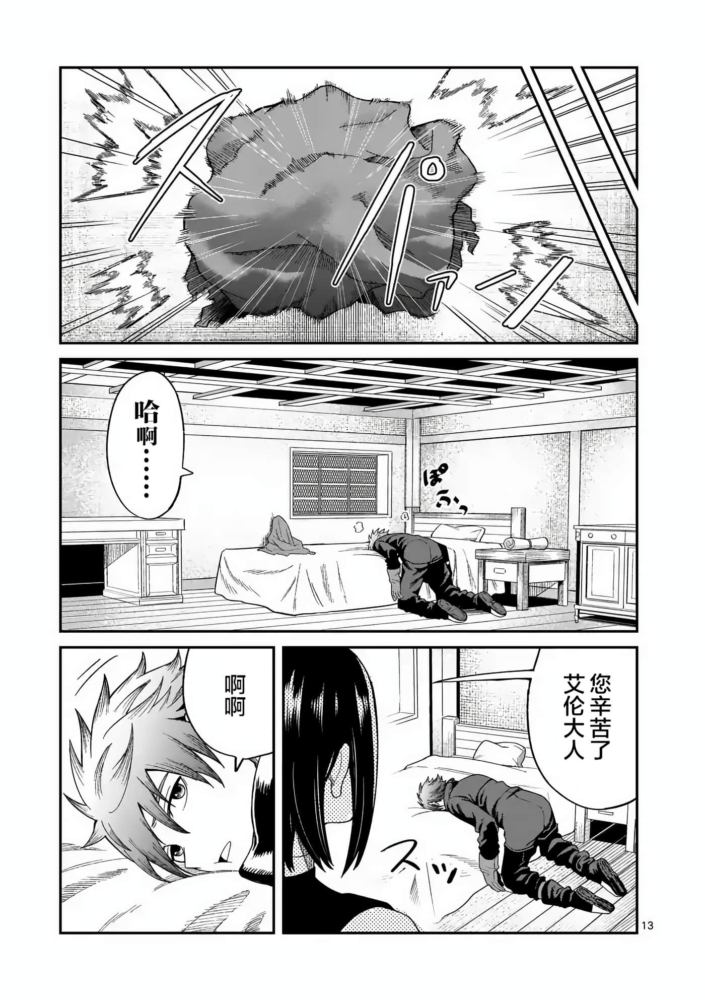 第 13 页