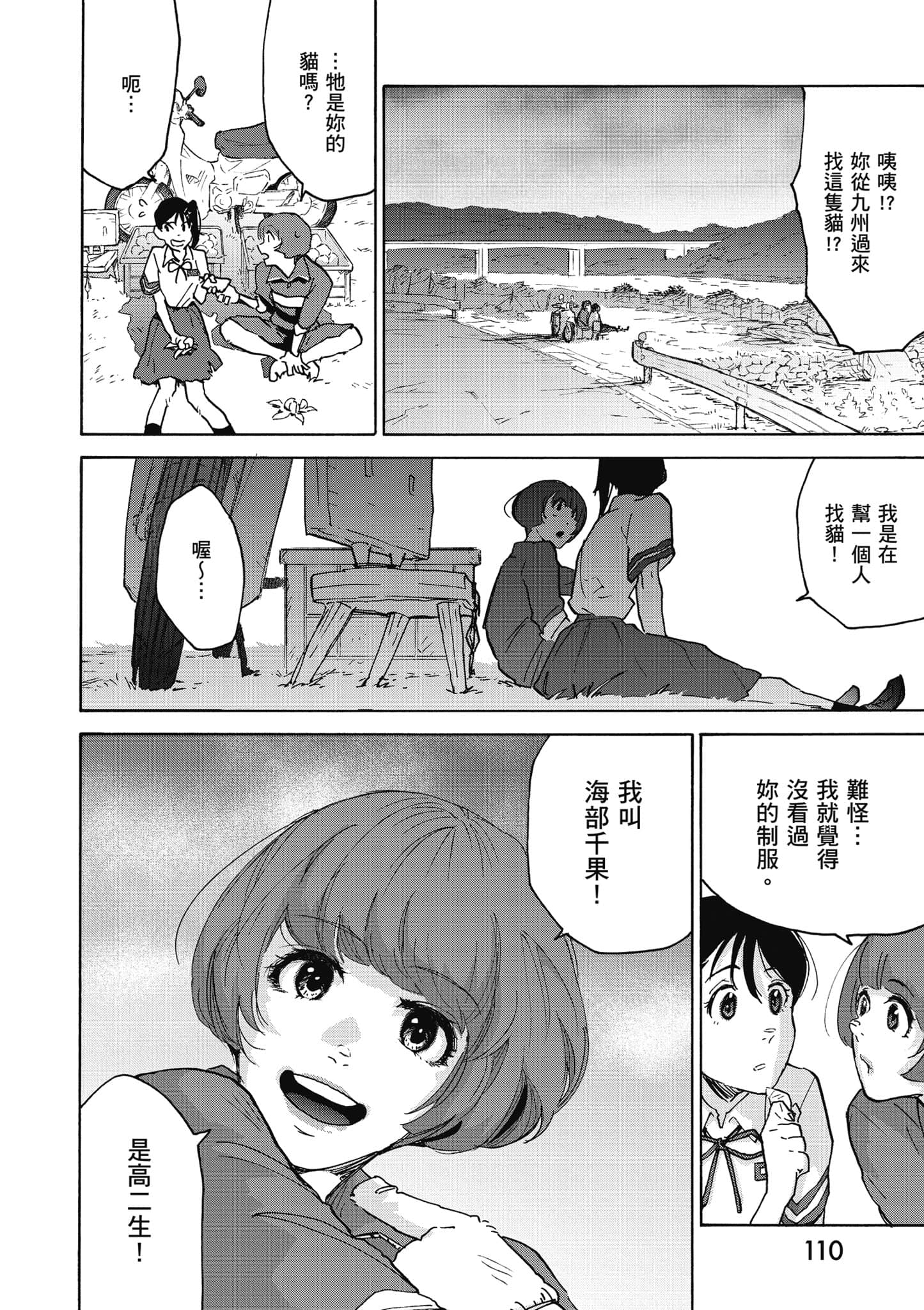 Page 111