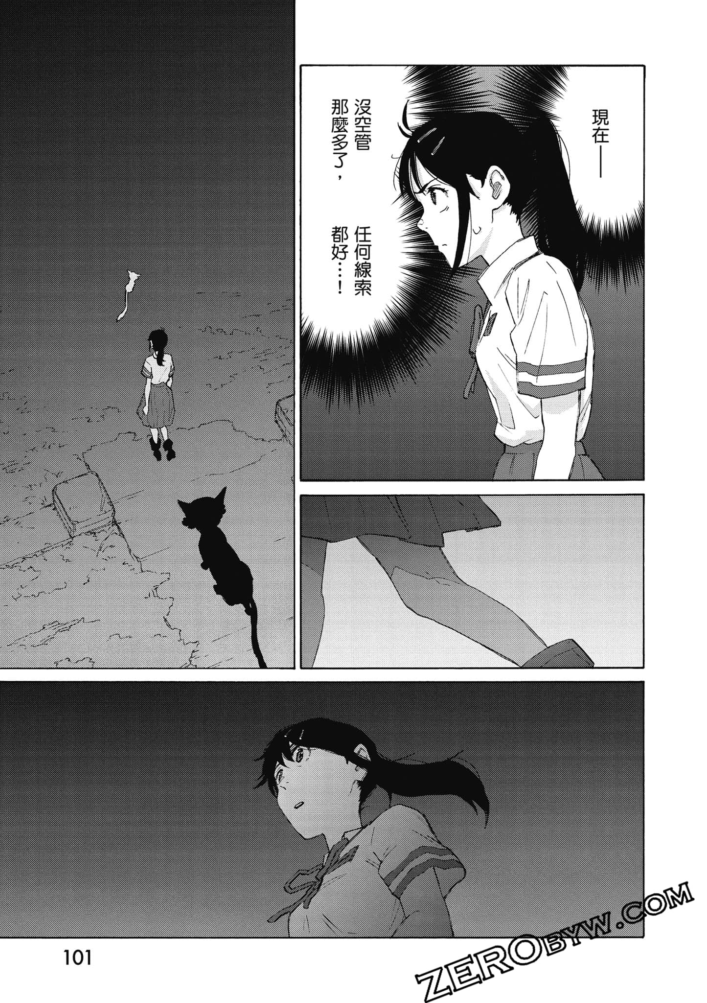 Page 102
