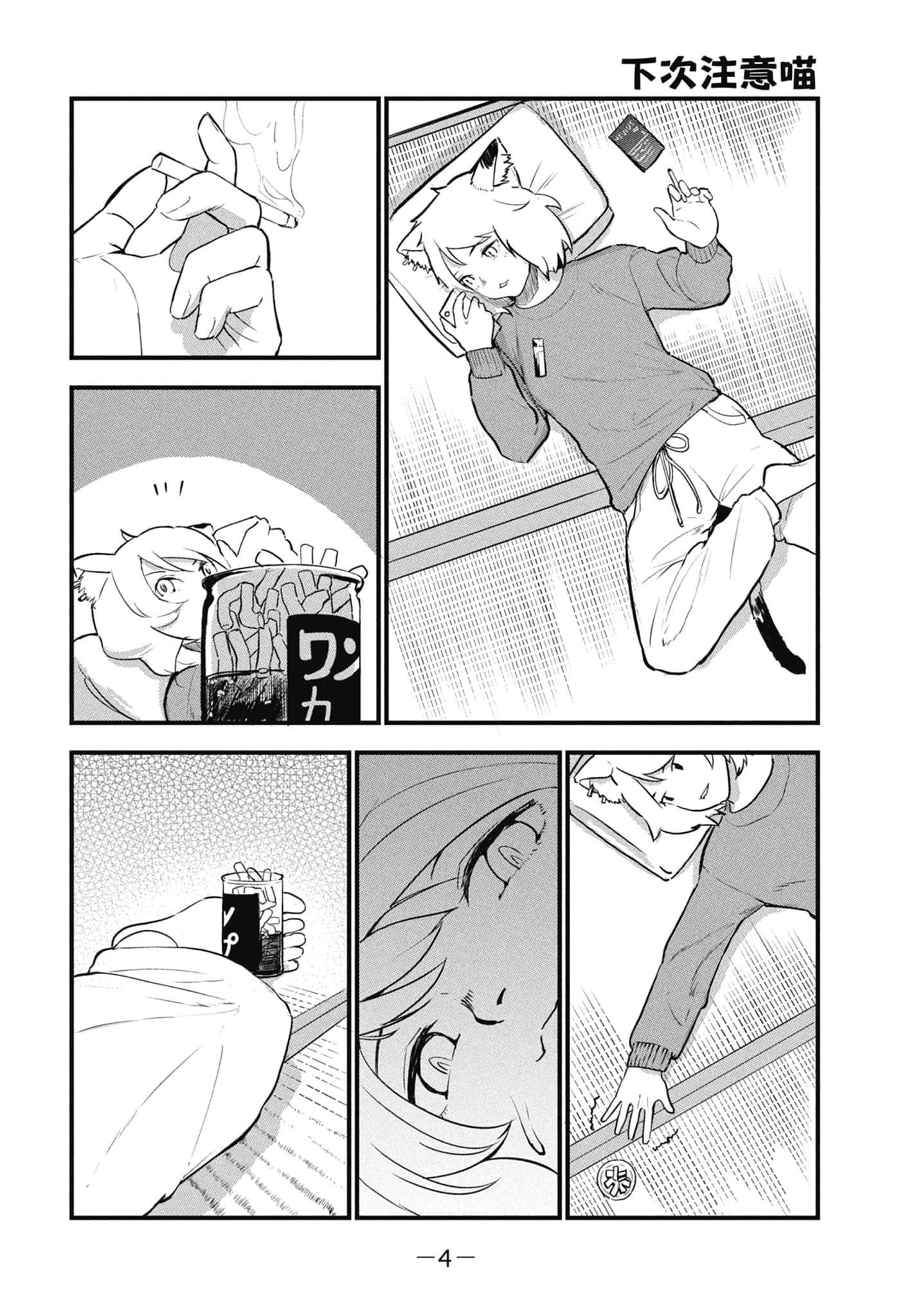 第 6 页