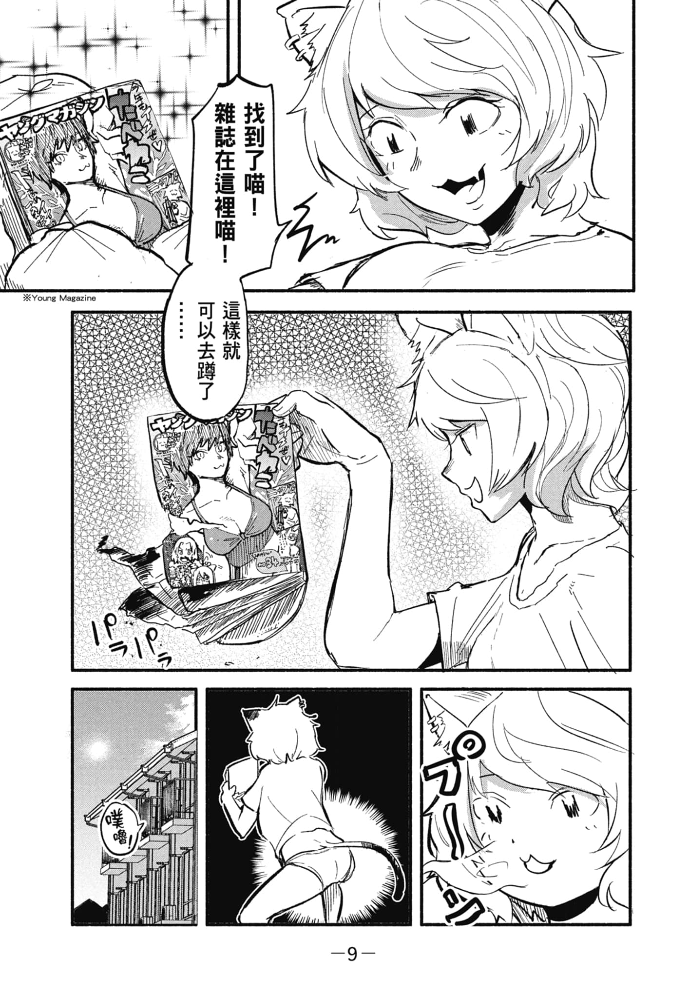 第 11 页