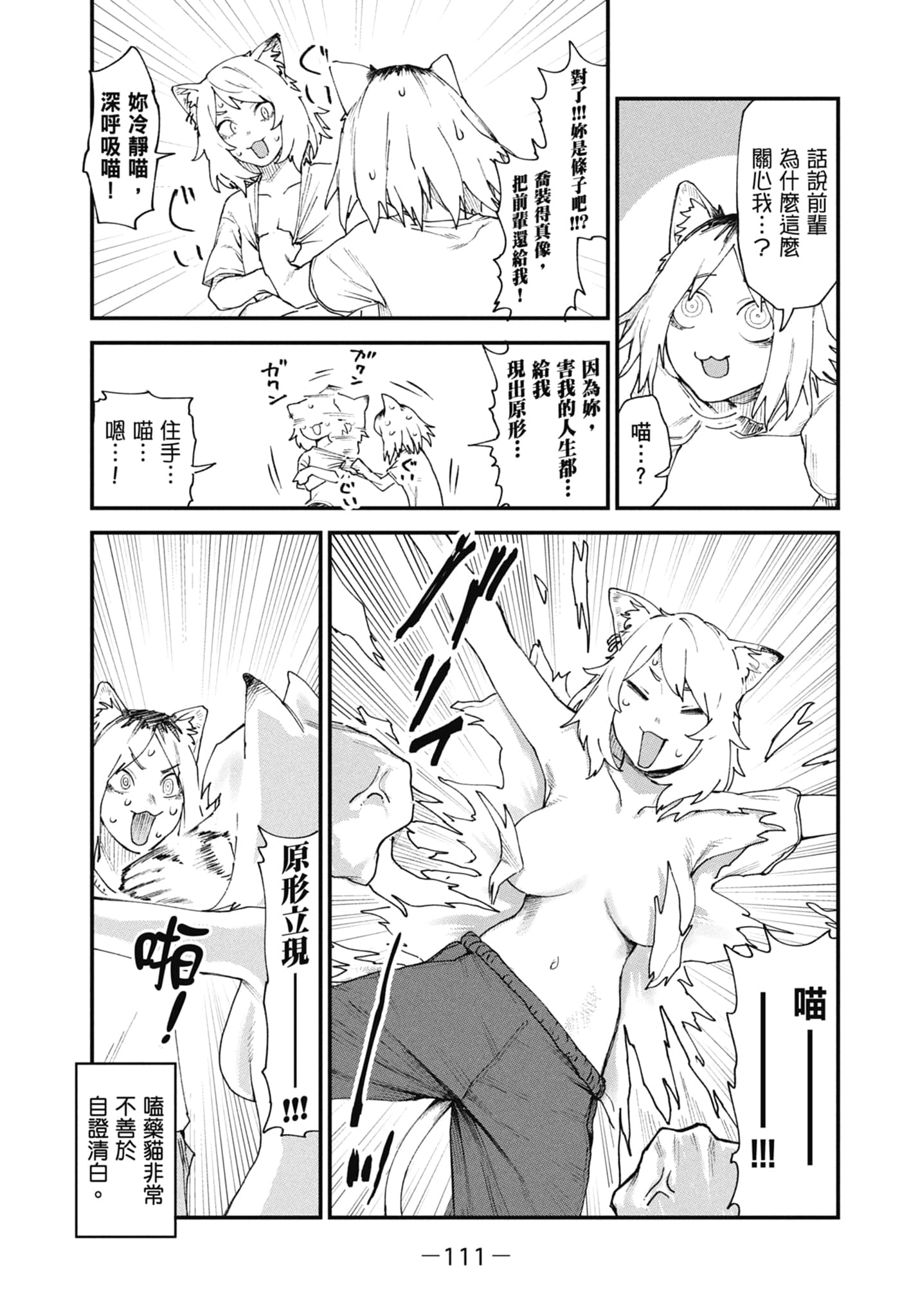 第 113 页