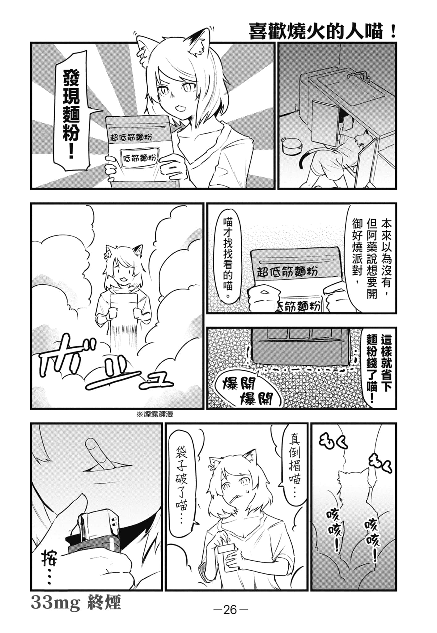 第 28 页