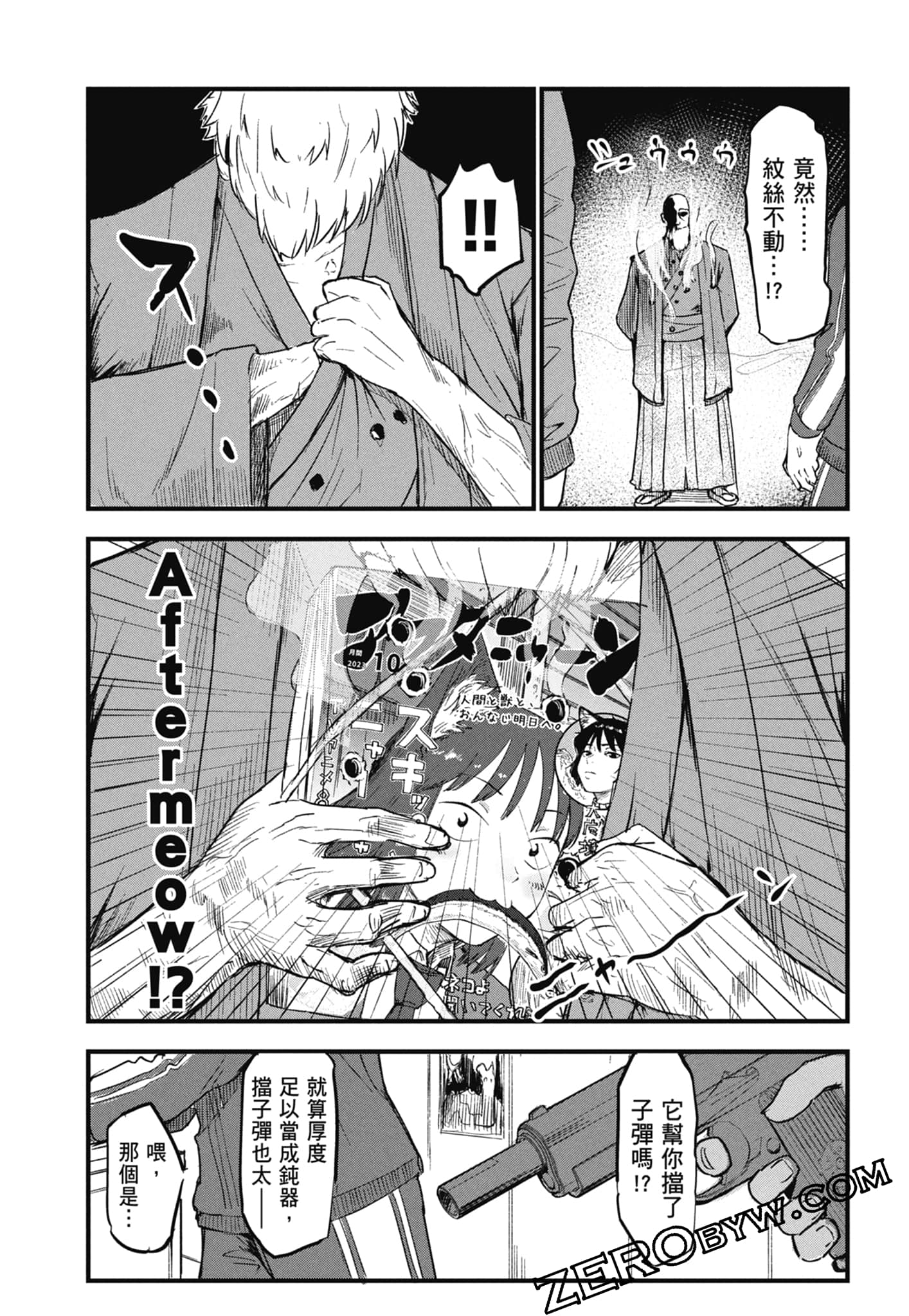 第 161 页