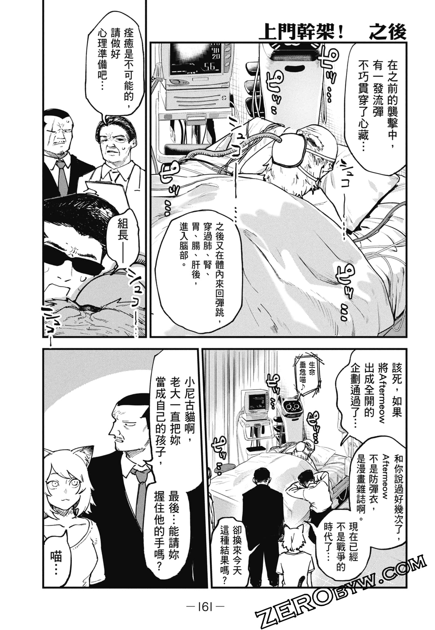 第 163 页