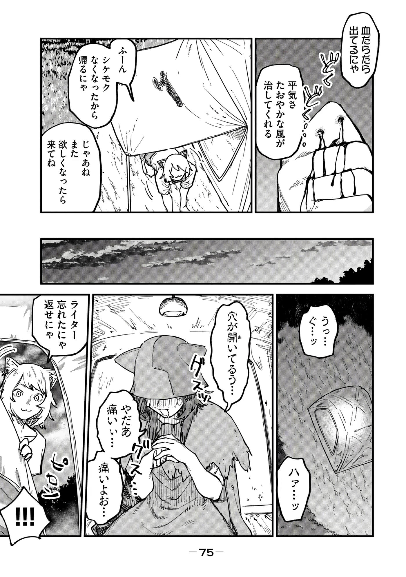 第 77 页