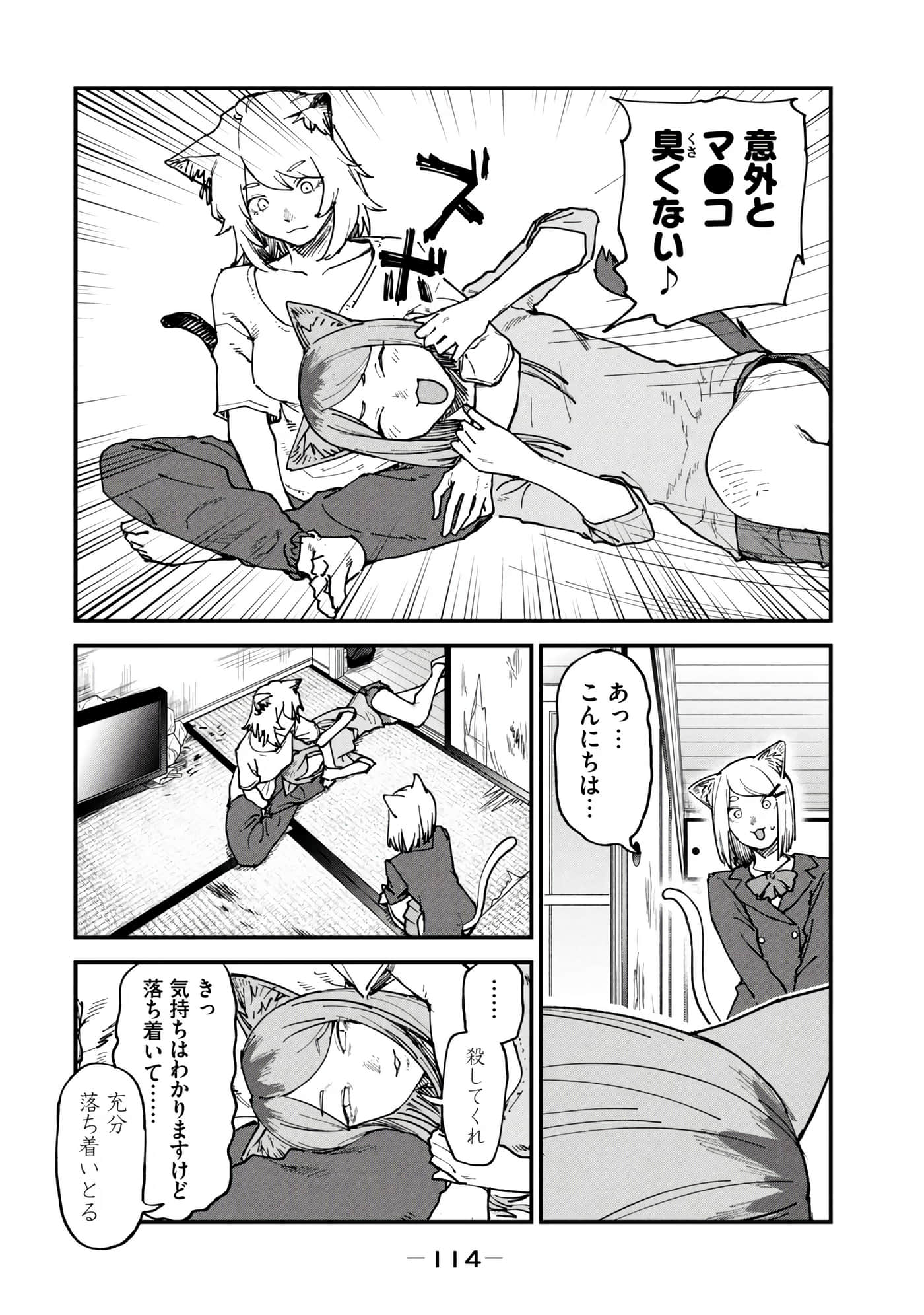 第 116 页