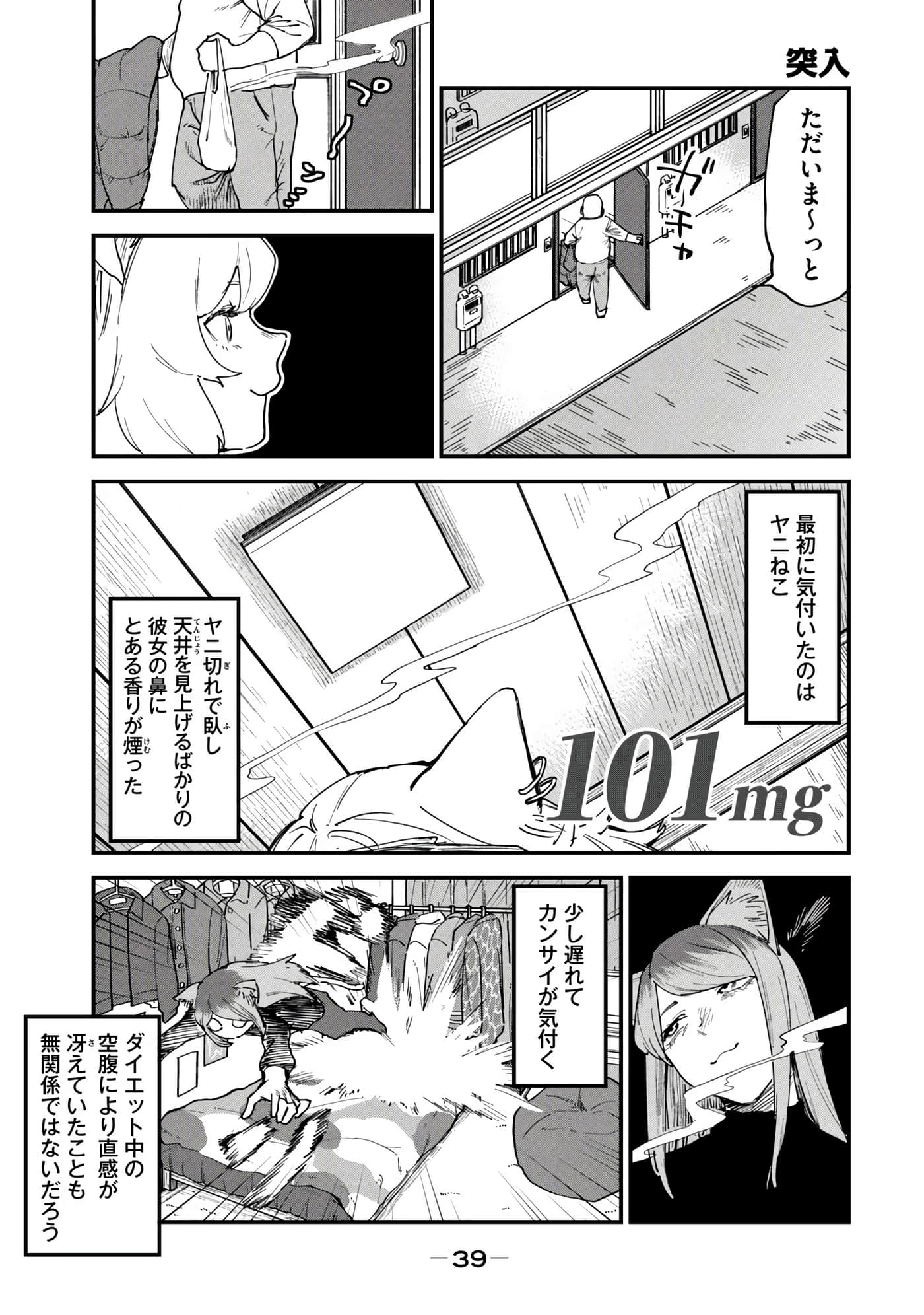 第 41 页