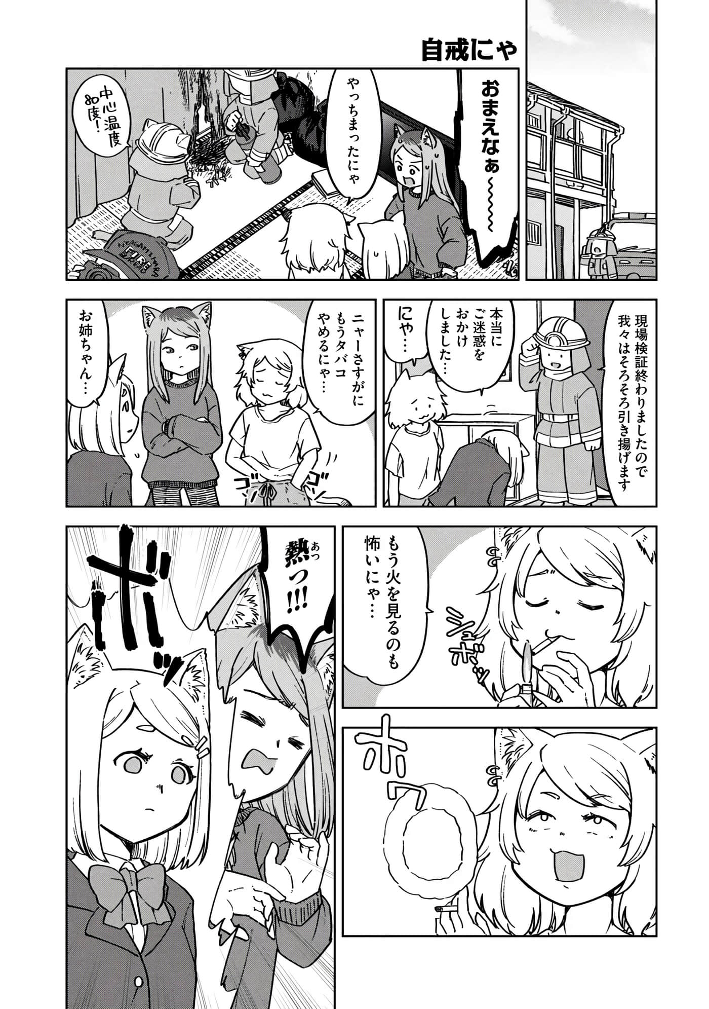 第 57 页