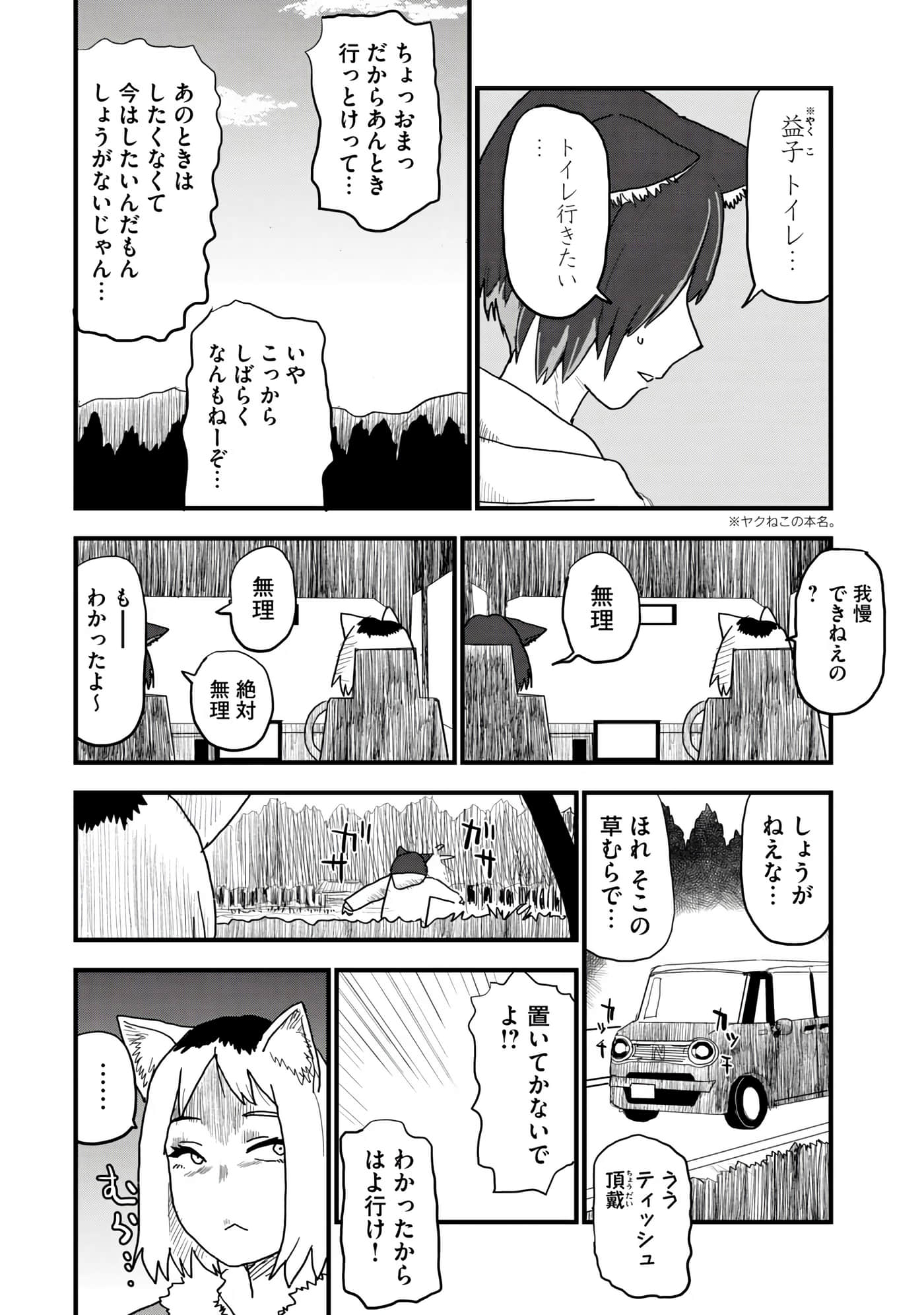 第 68 页