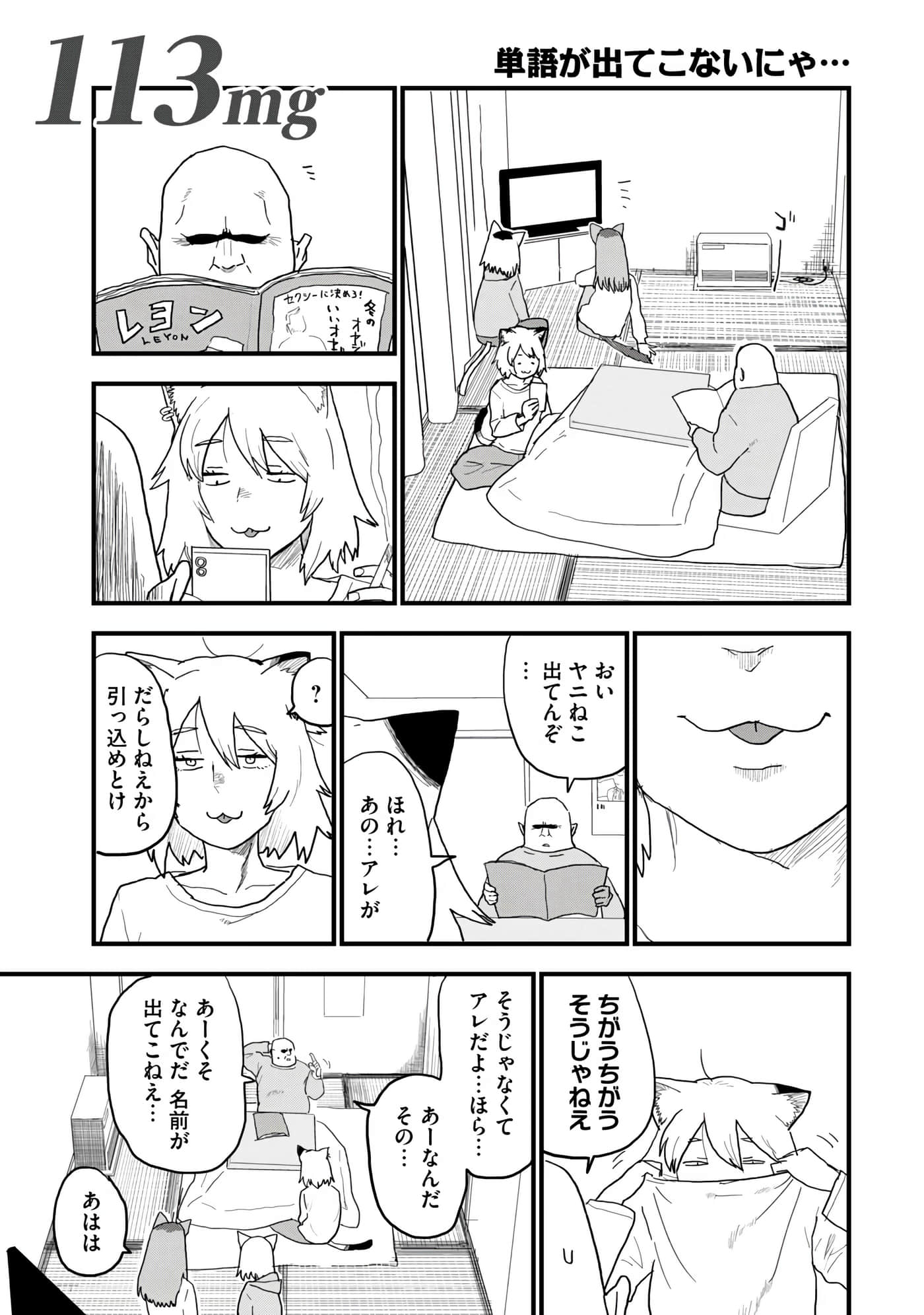 第 97 页