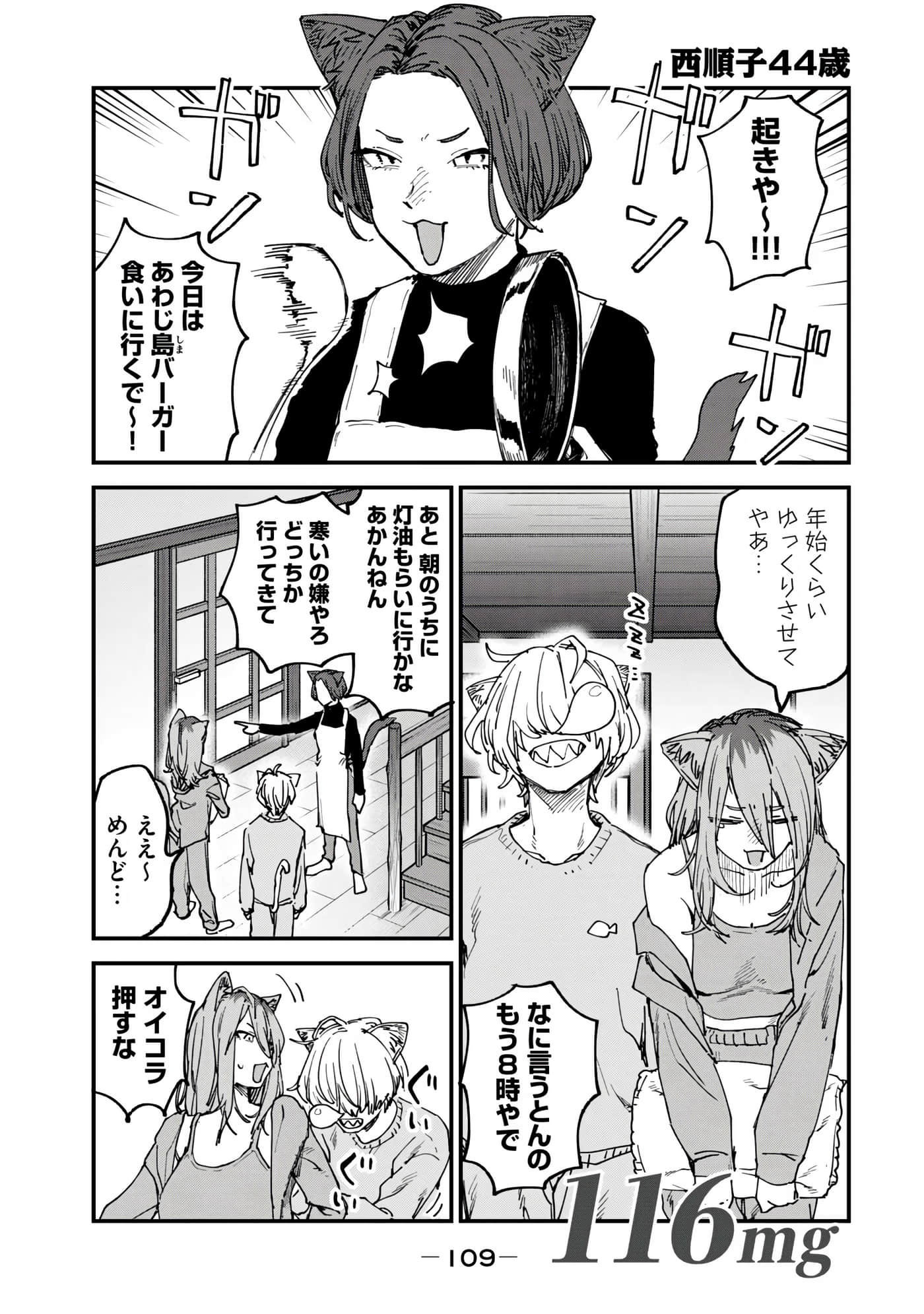 第 111 页