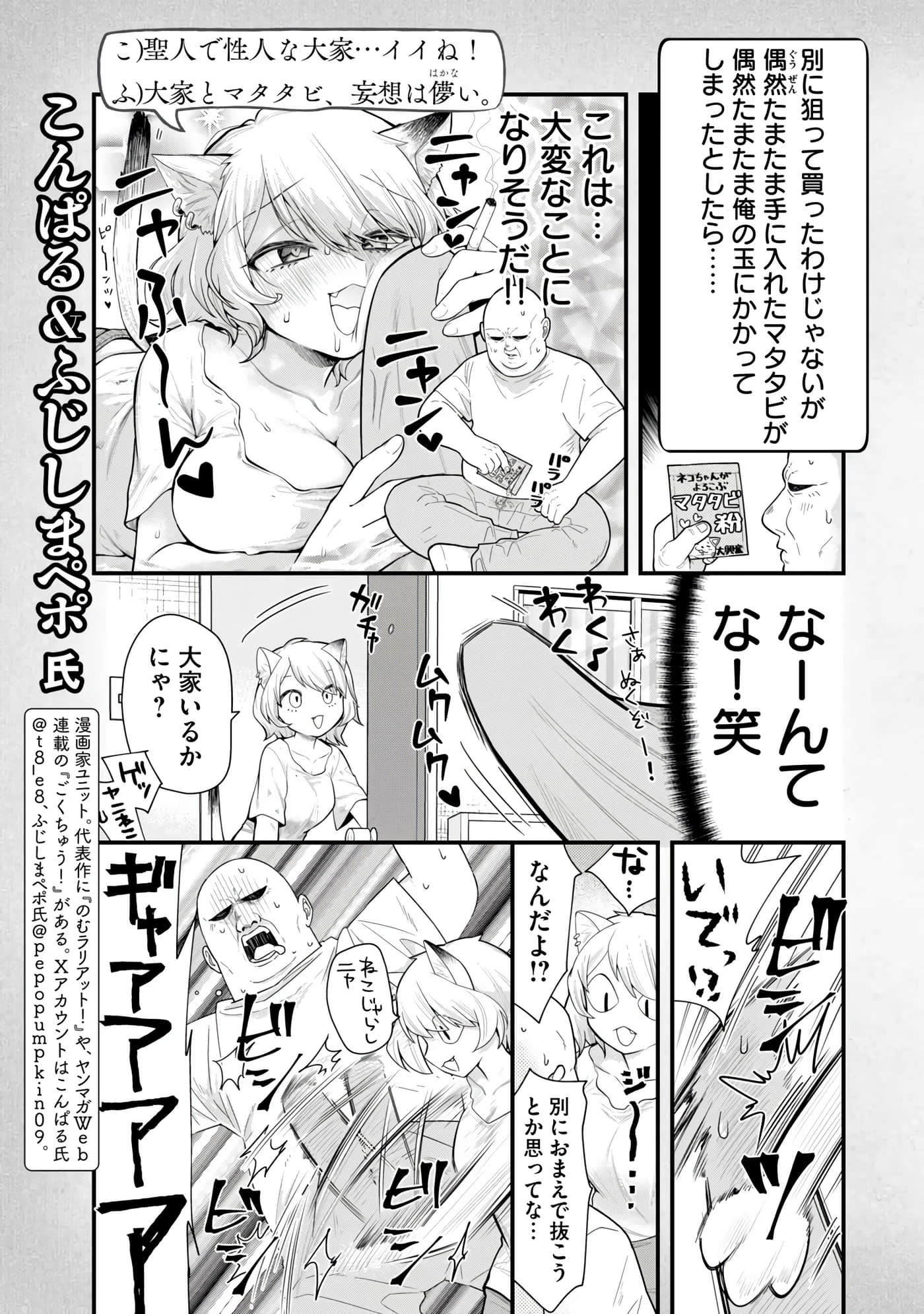 第 171 页