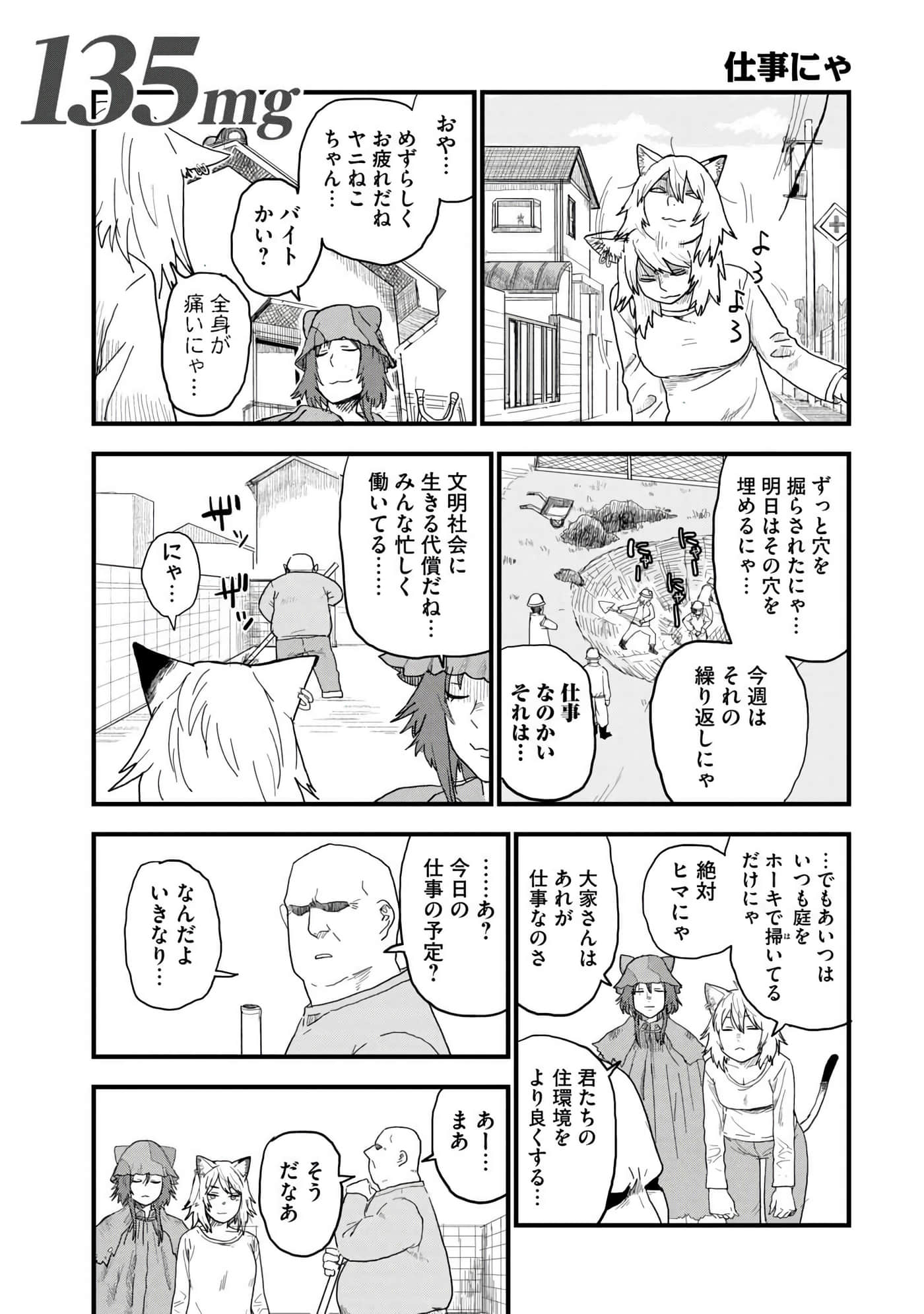 第 43 页