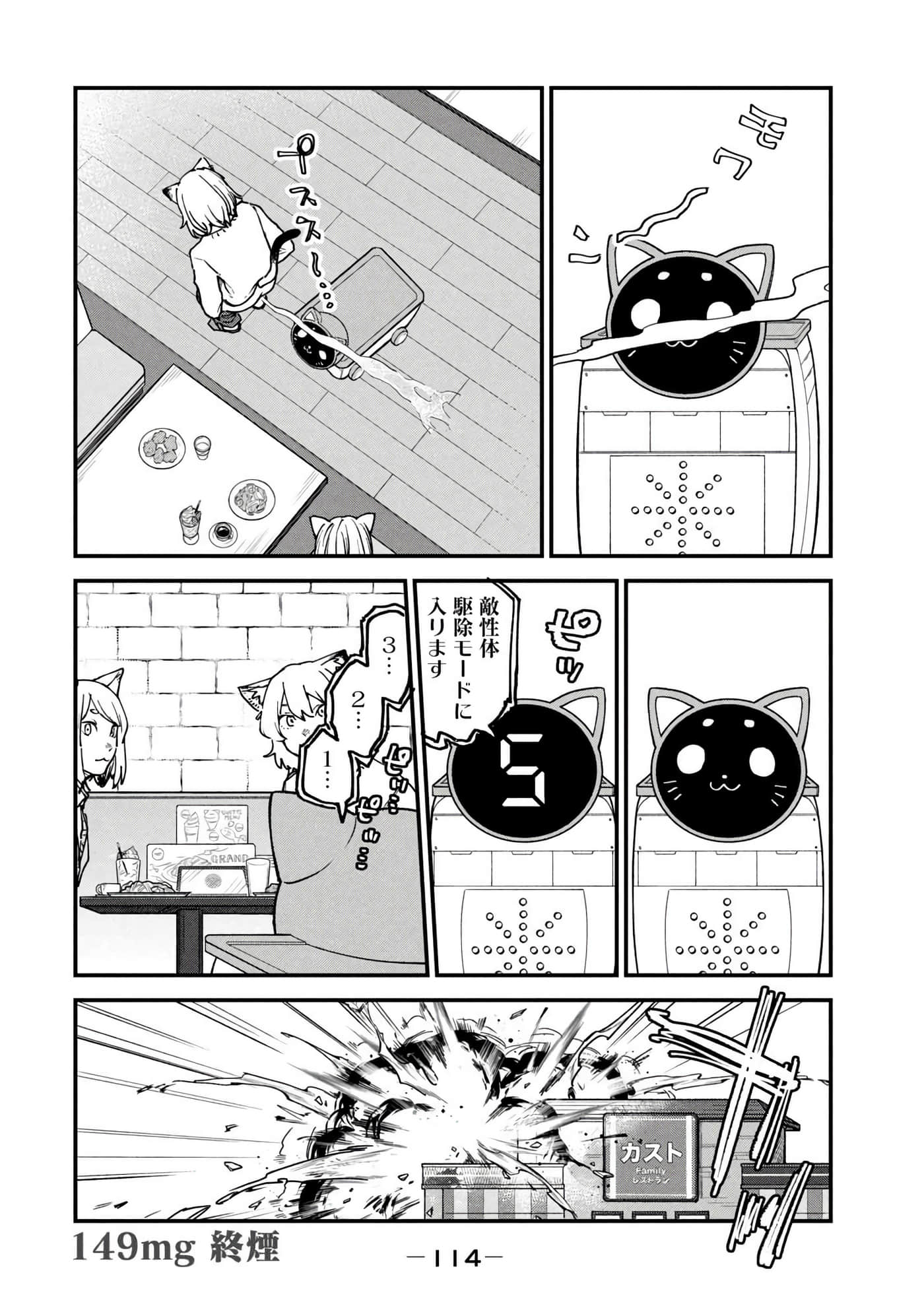 第 116 页