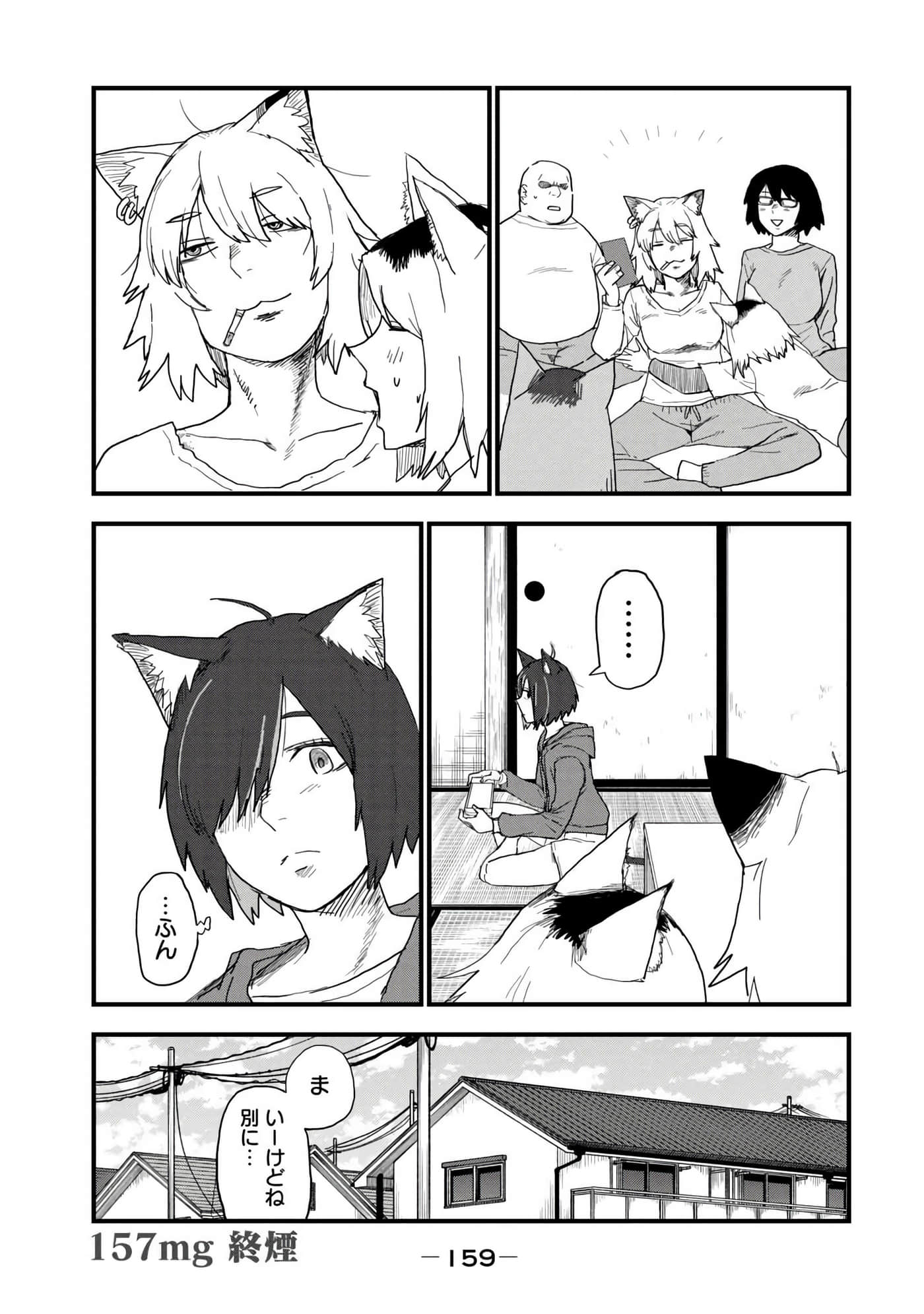 第 161 页