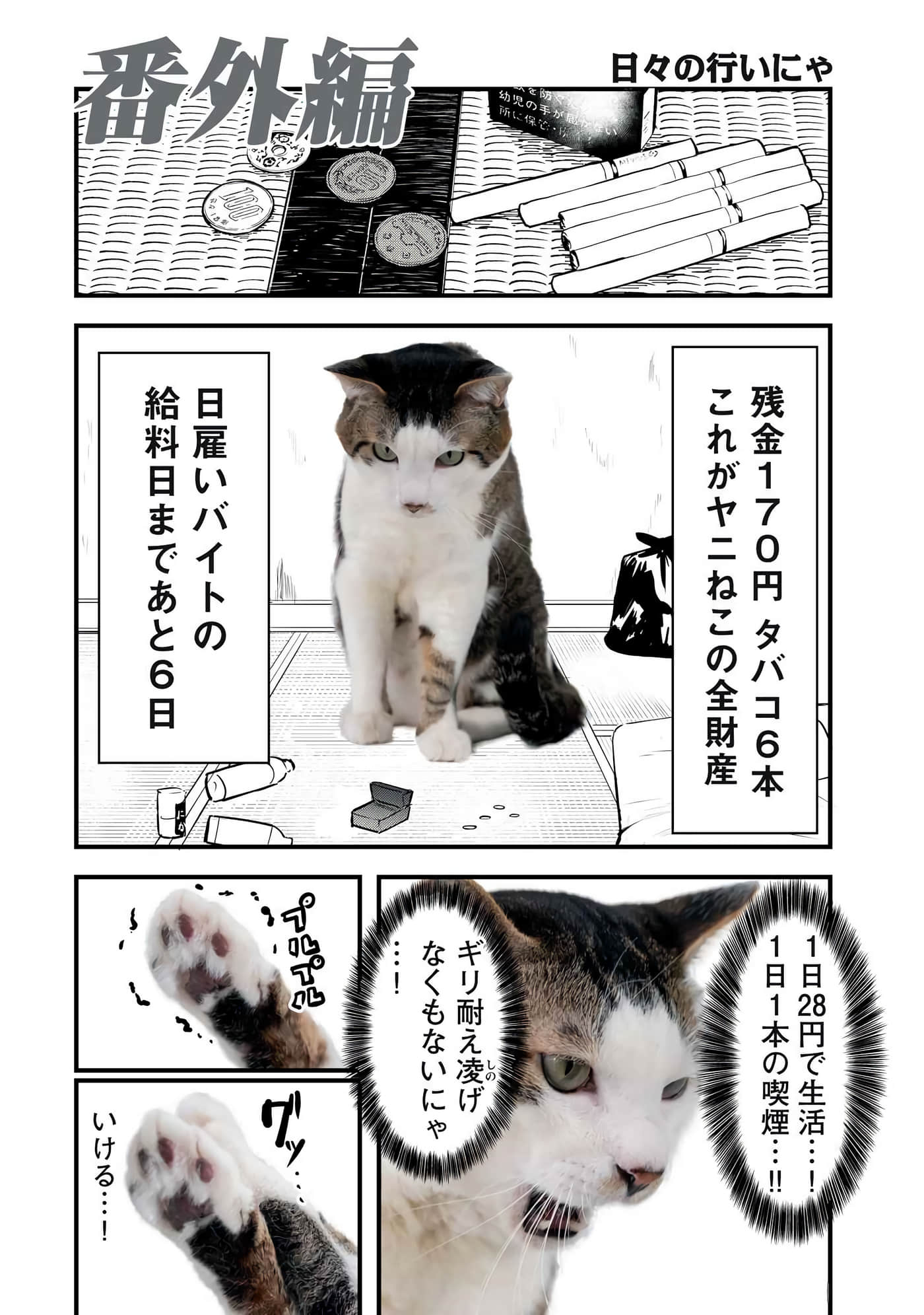 第 162 页