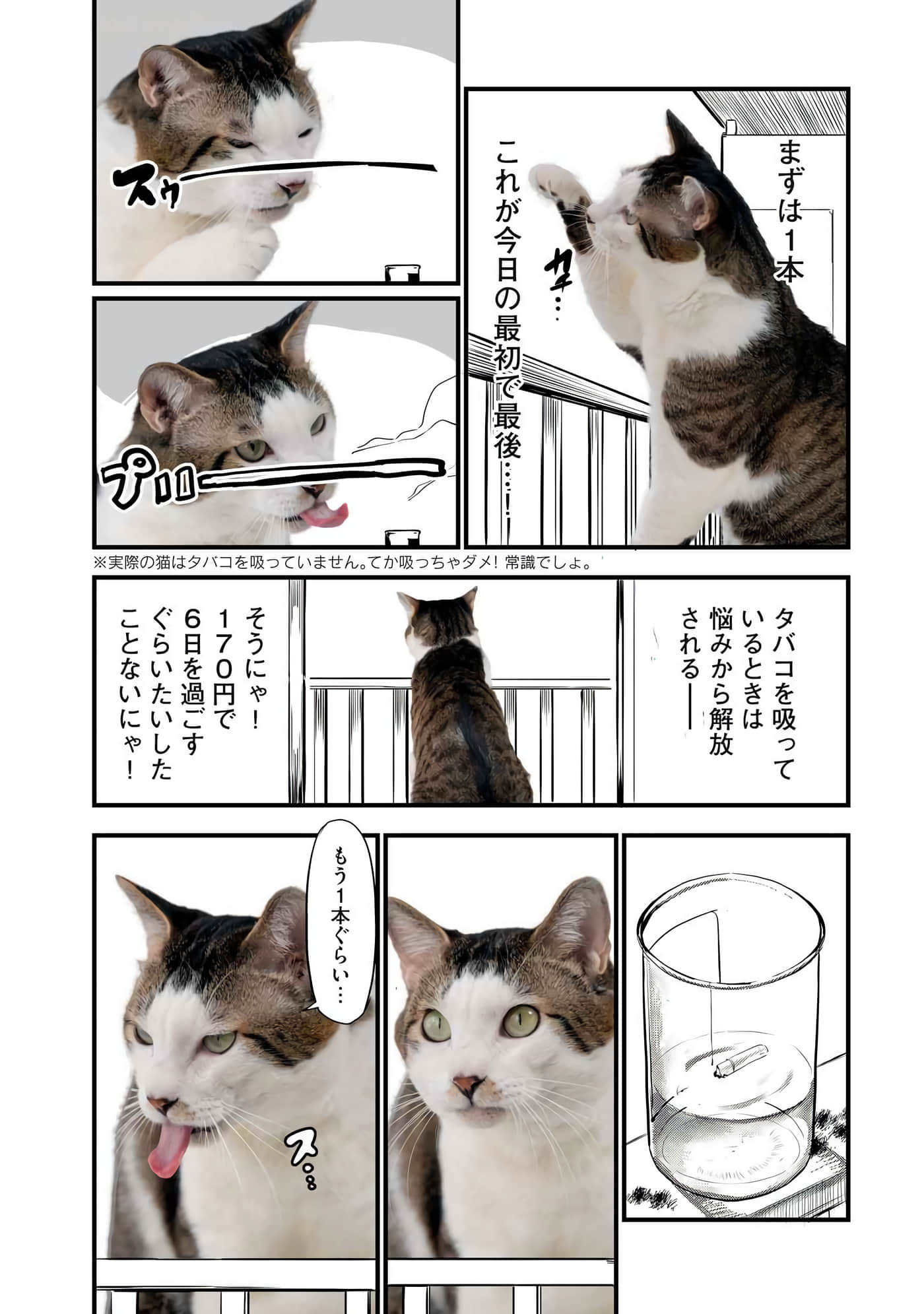 第 163 页