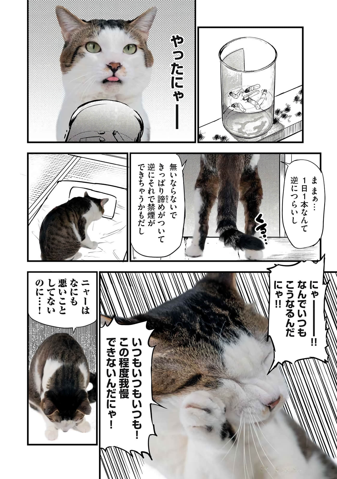 第 164 页