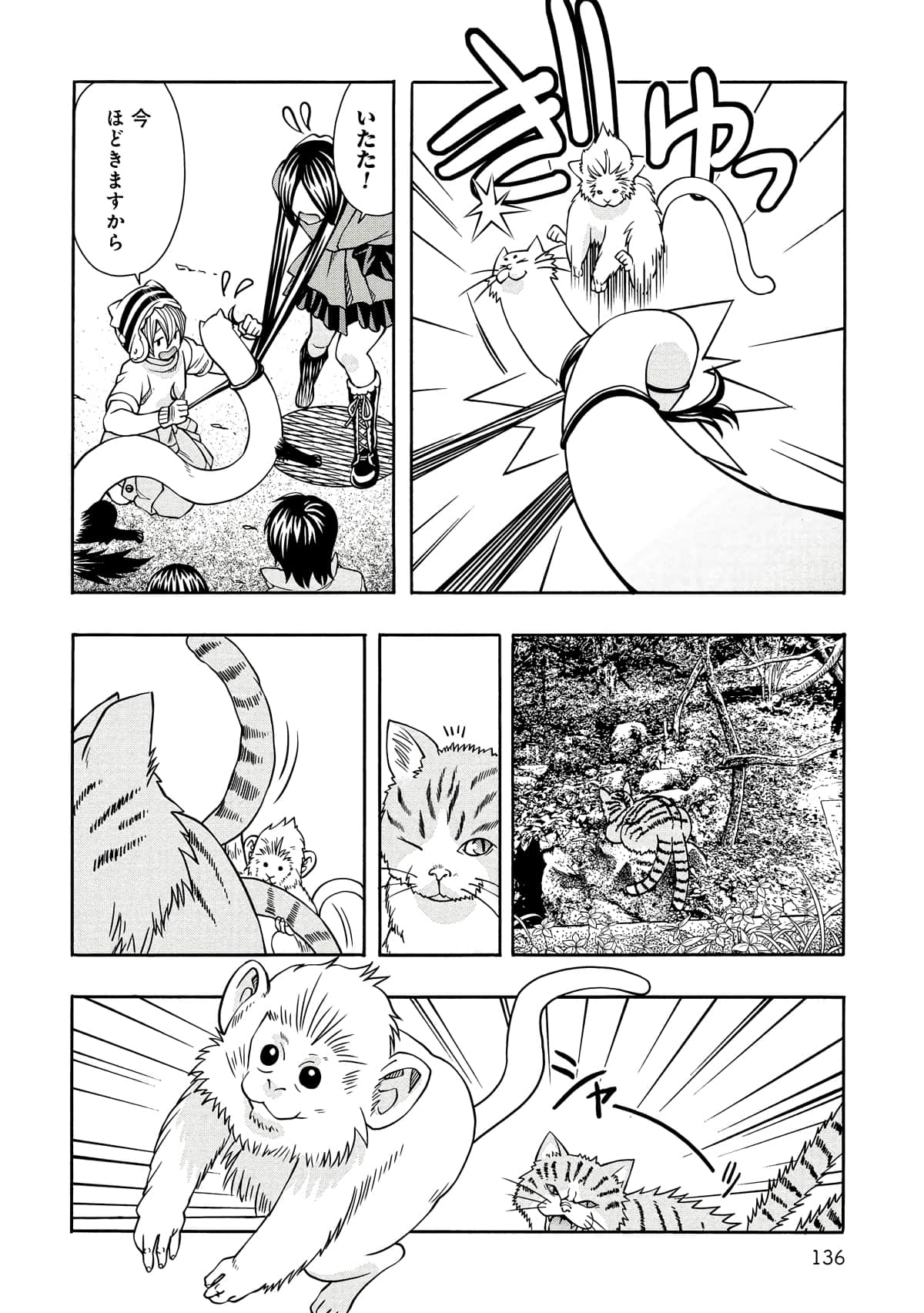 Page 137