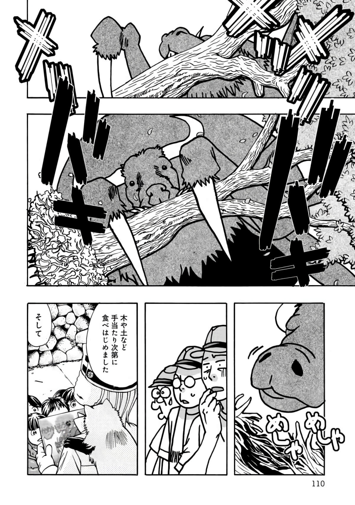 Page 111