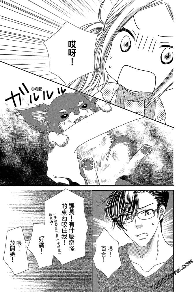第 26 页