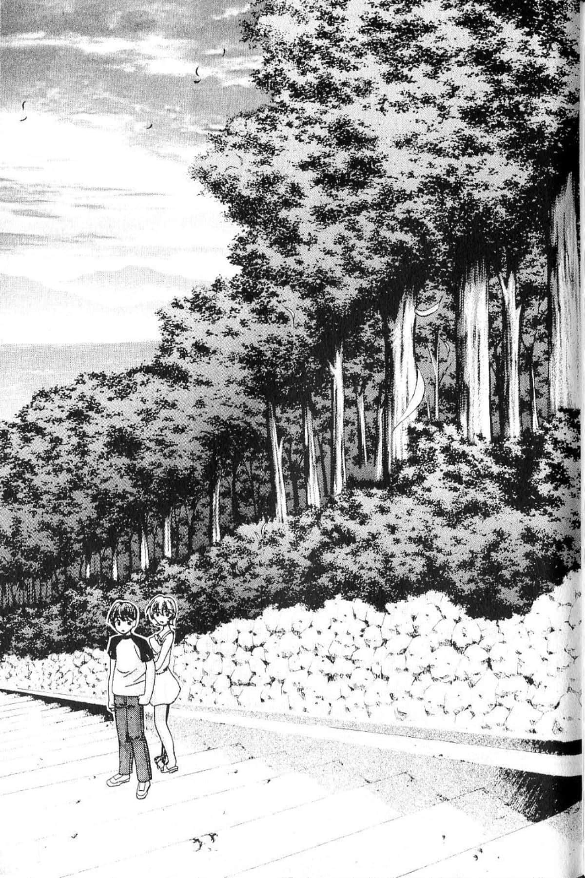 Page 215