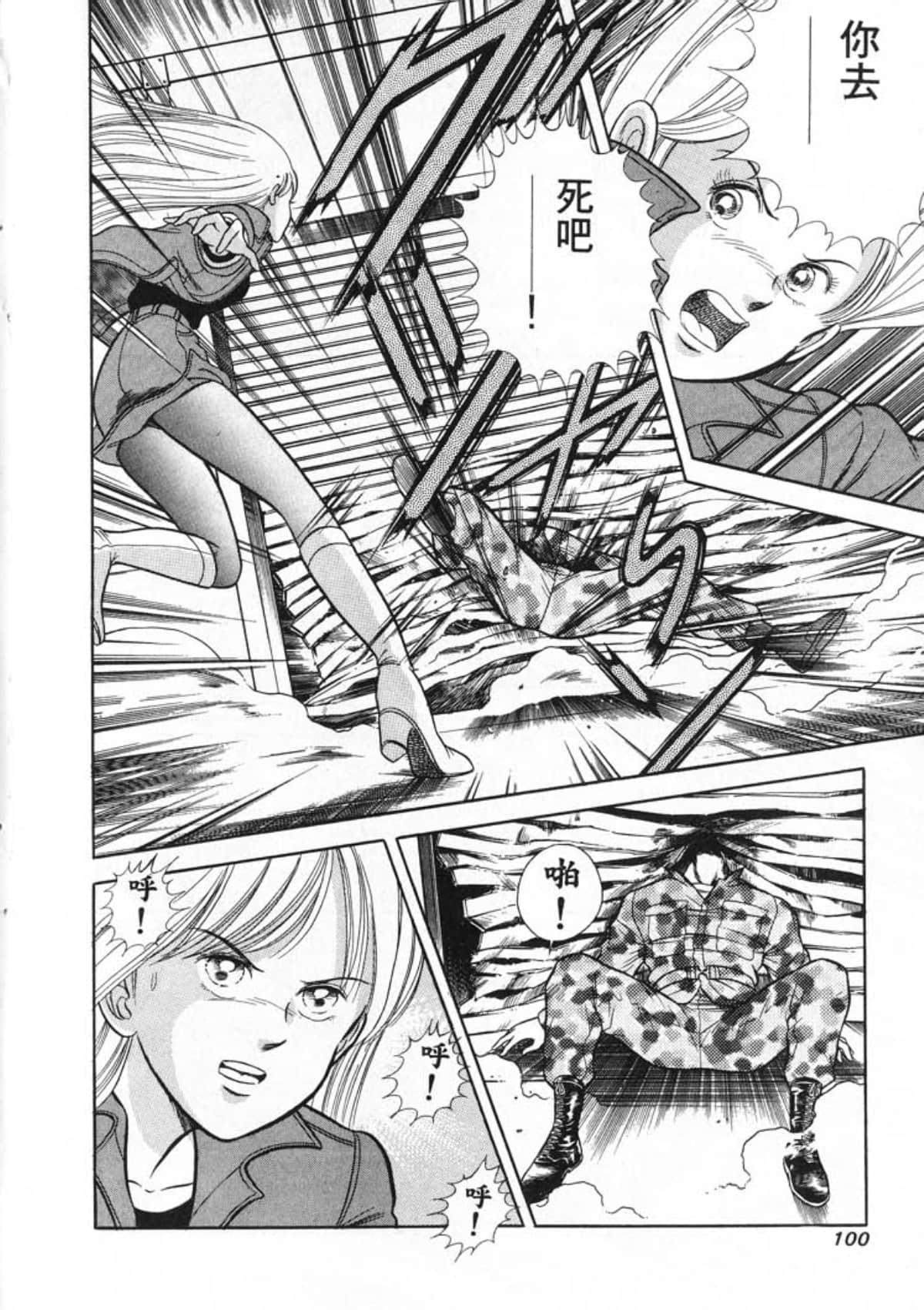 Page 102