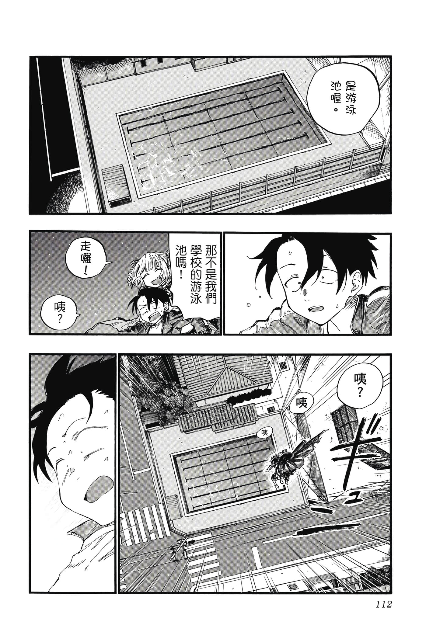Page 111