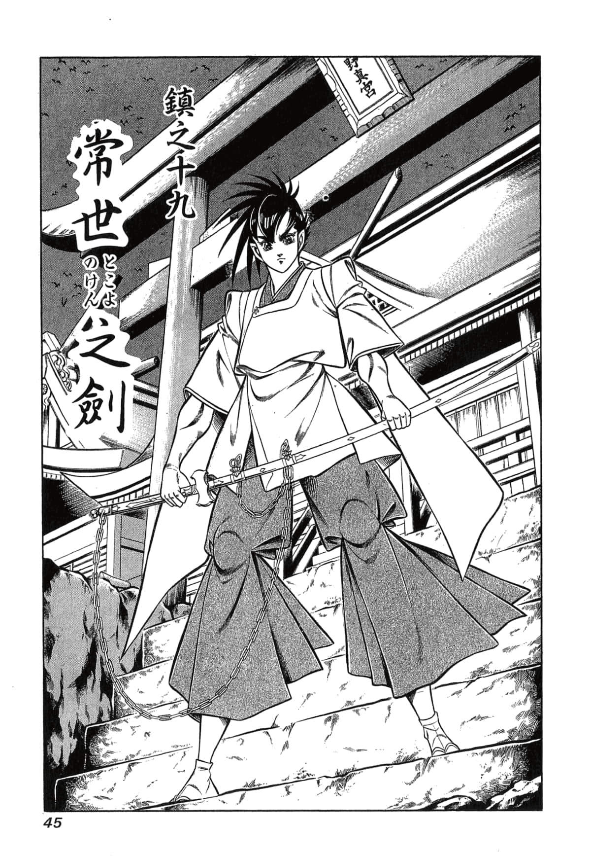 Page 45