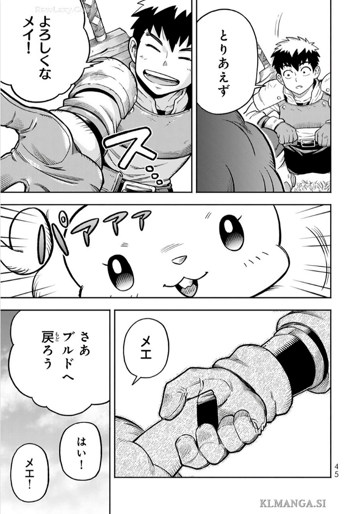第 46 页
