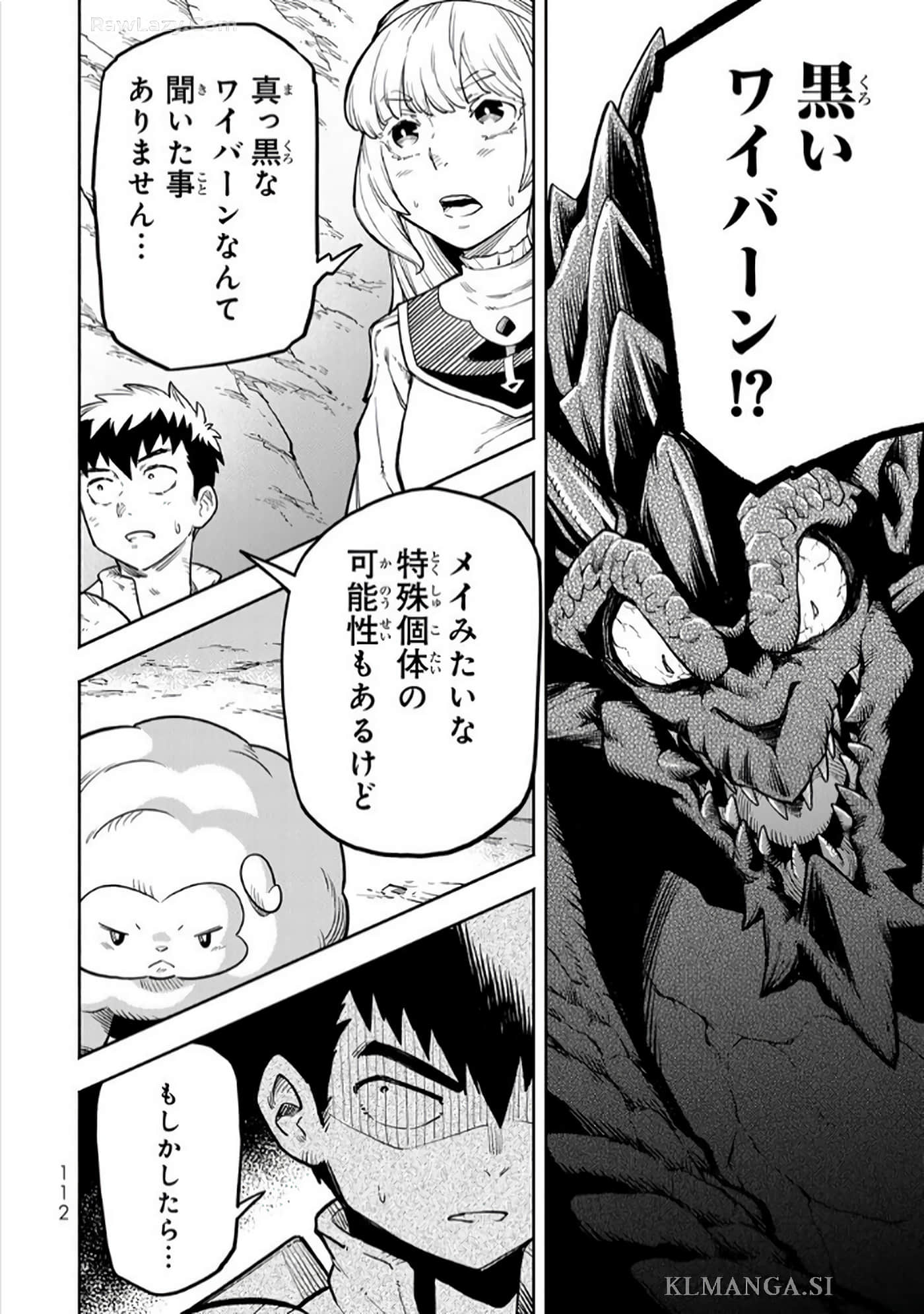 第 113 页