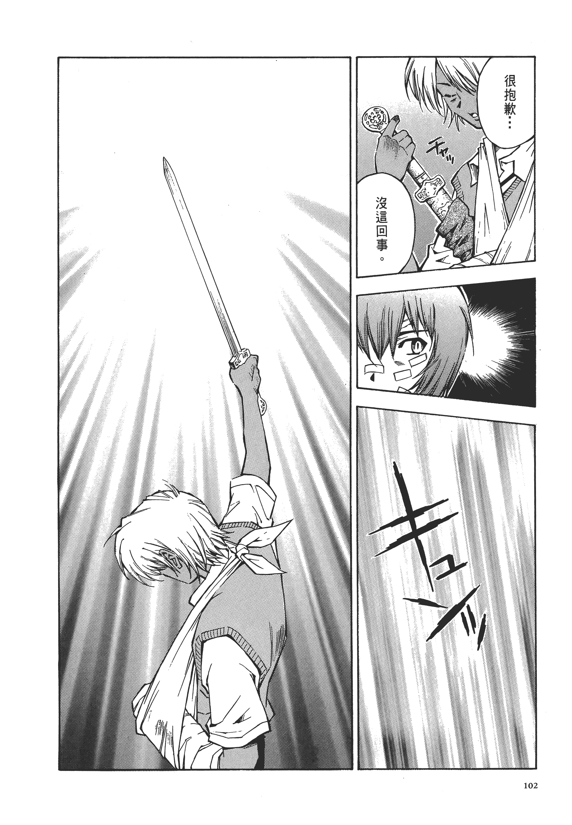 Page 102